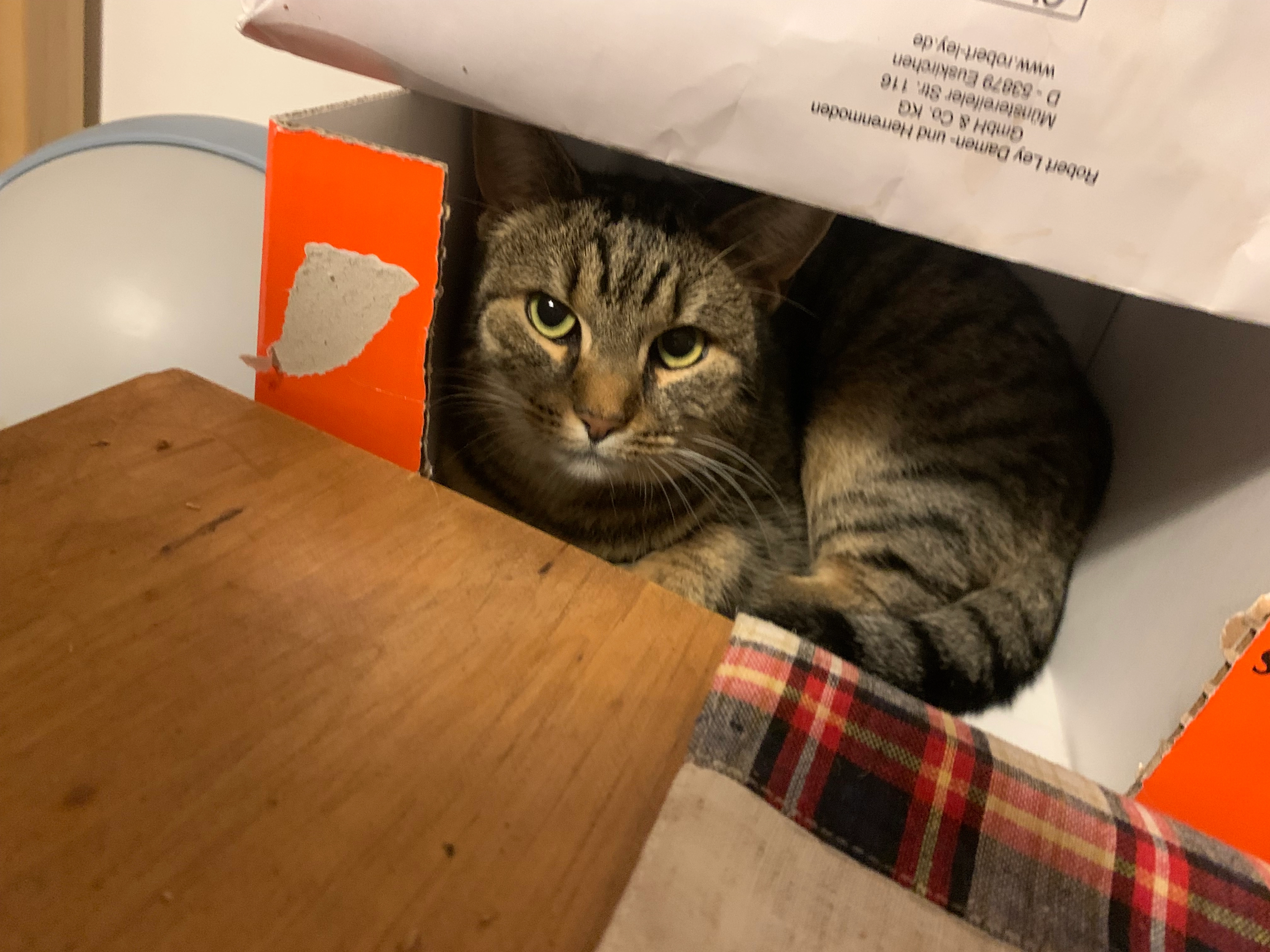 Marry  - In den Steinen, Koblenz