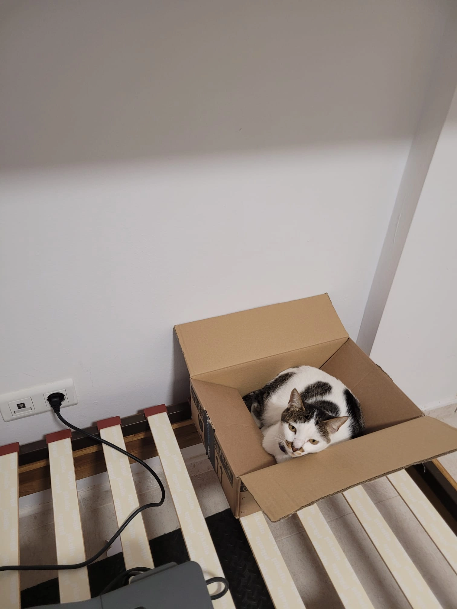 Mimo - Calle Santísimo Cristo Del Amor, Rota