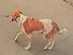 Mottu - AH47, Indore