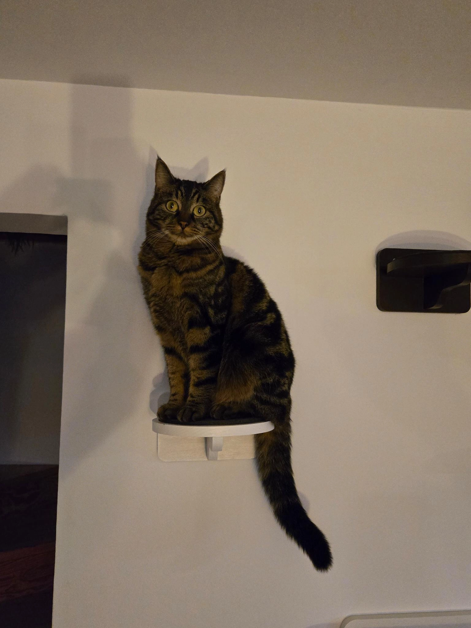 Touille - Chemin de l'Etang, Les Agettes