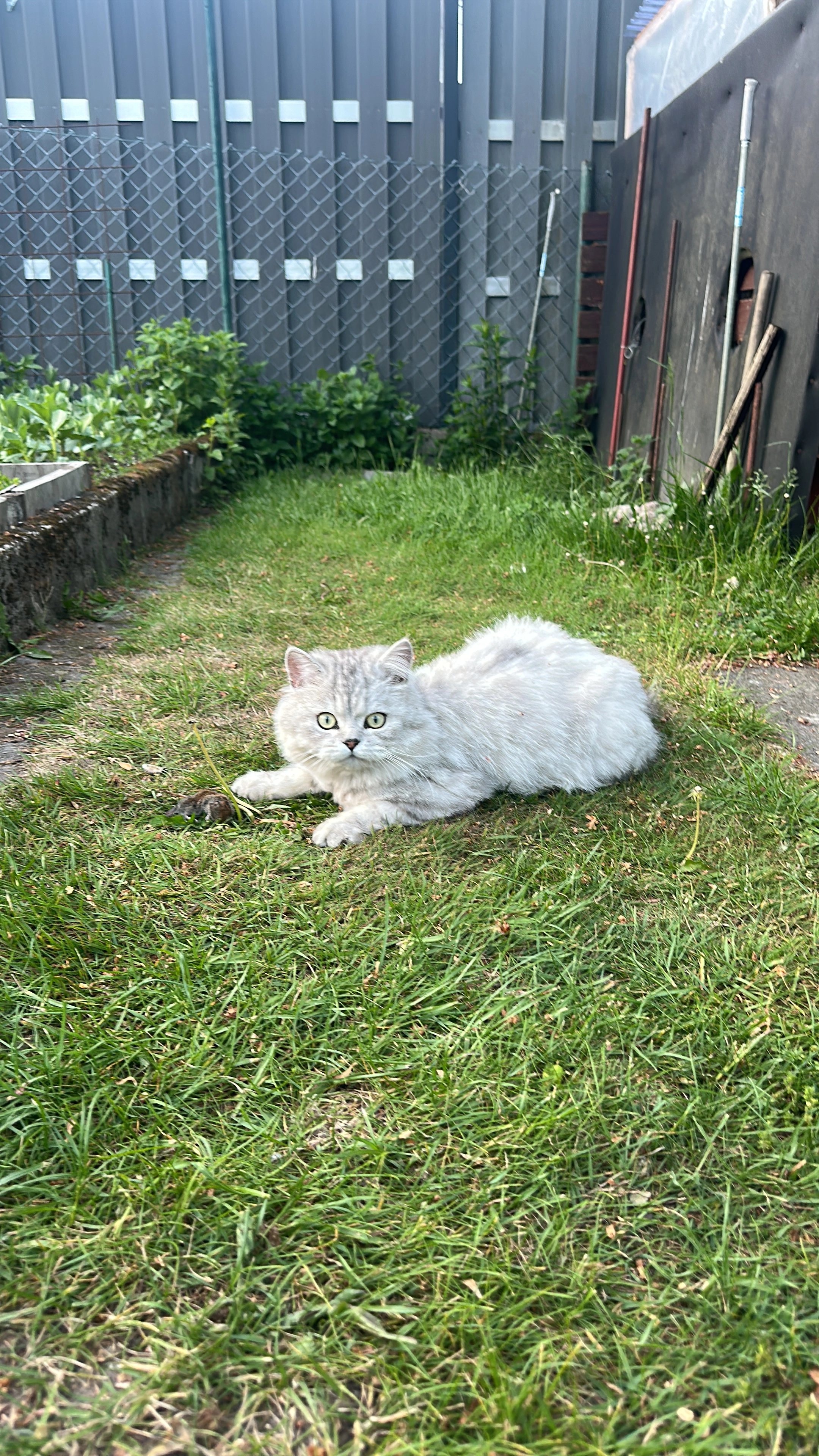 Toma - Im Kessel, Neu Wulmstorf