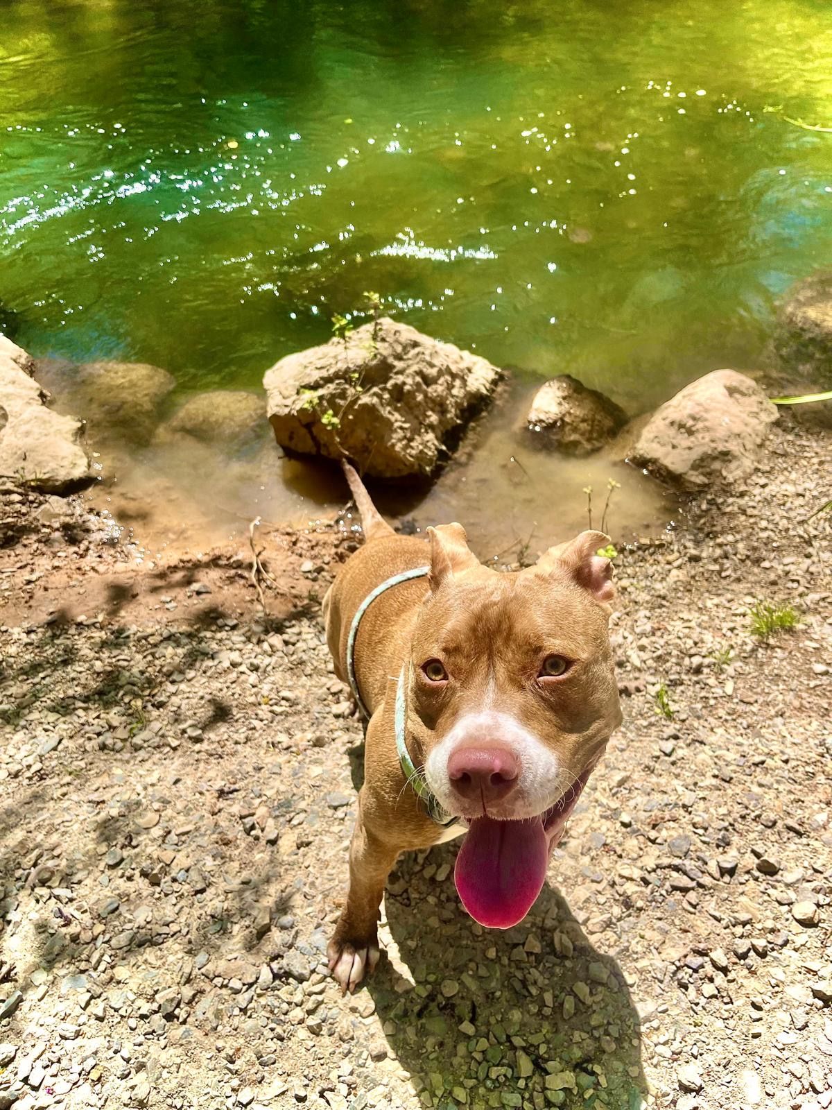 Marley  - Boulevard Perrier, Saint-Malo
