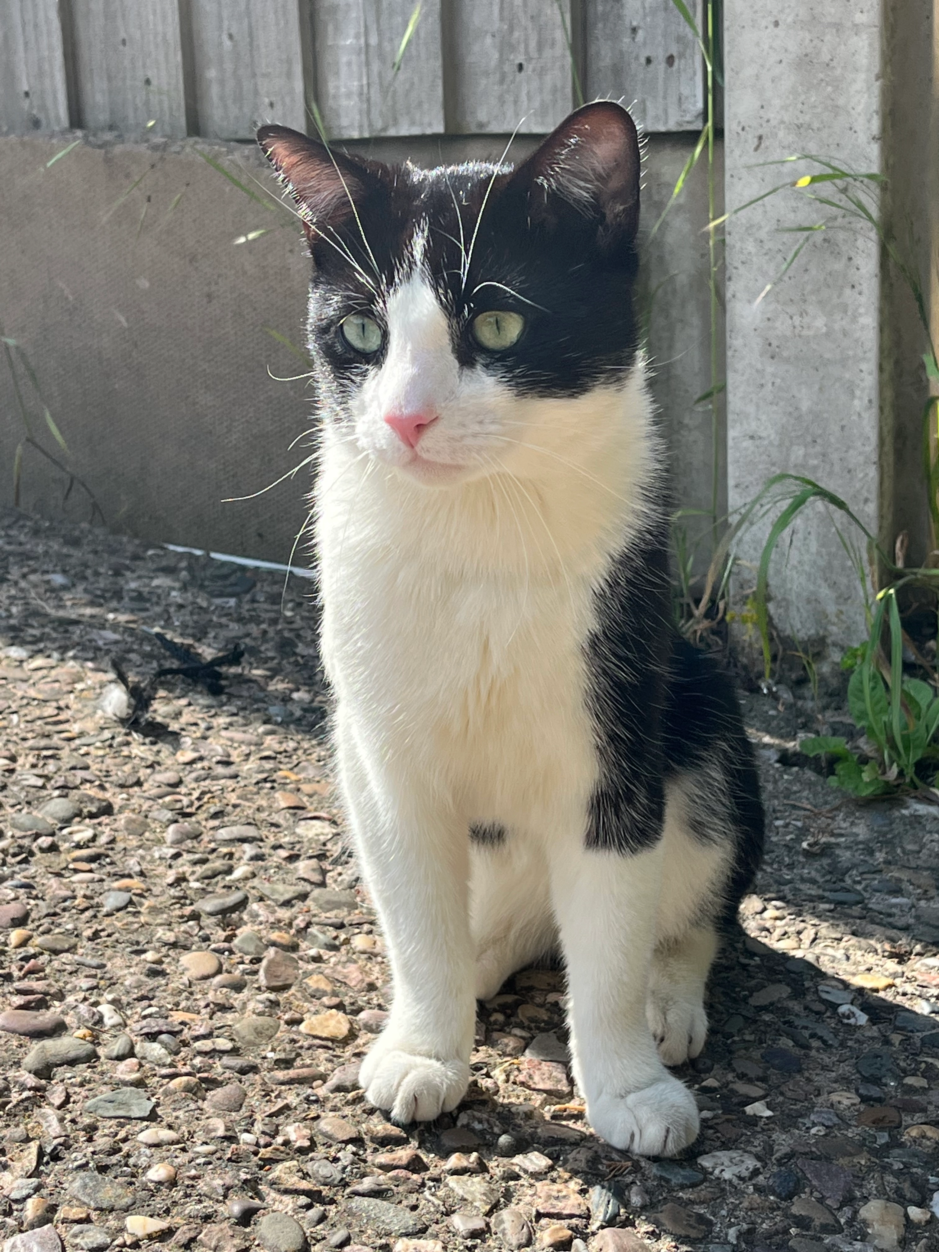 Coco - Other Road, Redditch