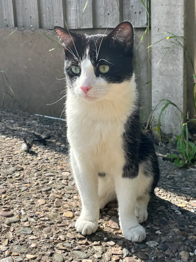 Coco - Other Road, Redditch