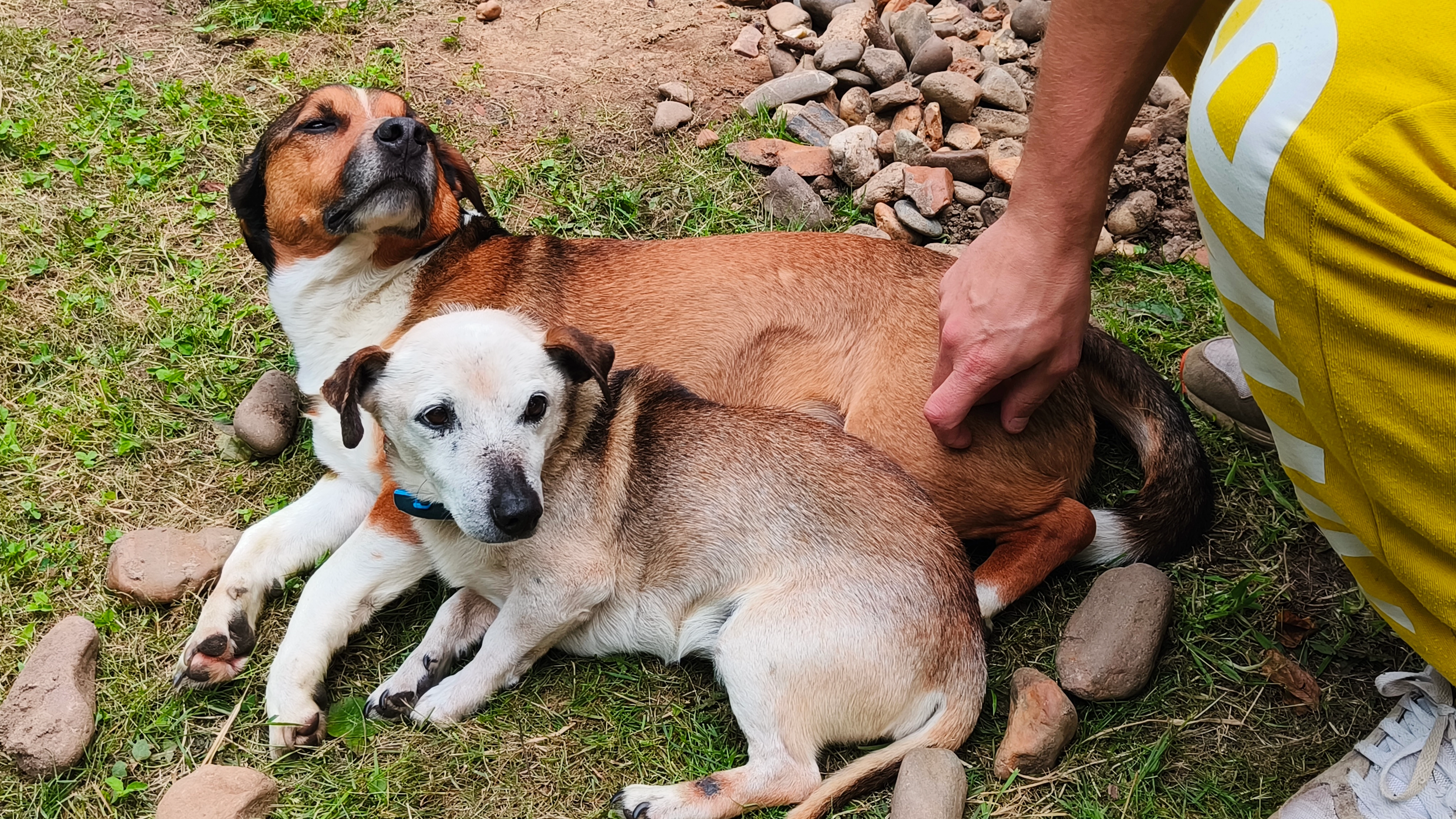 Tobi - Op Den Dries, Wessem