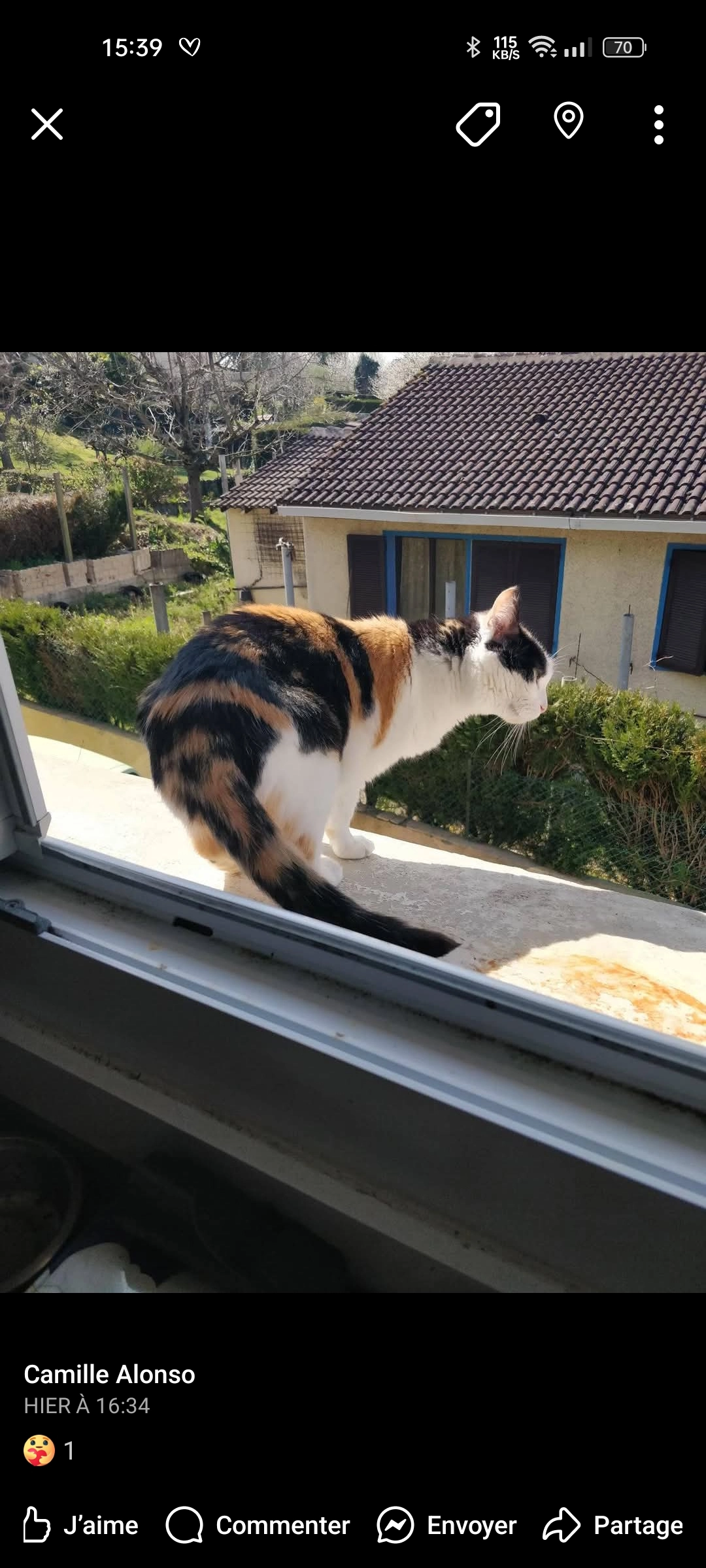 Fée  - Rue Des Rouges Gorges, Juillan