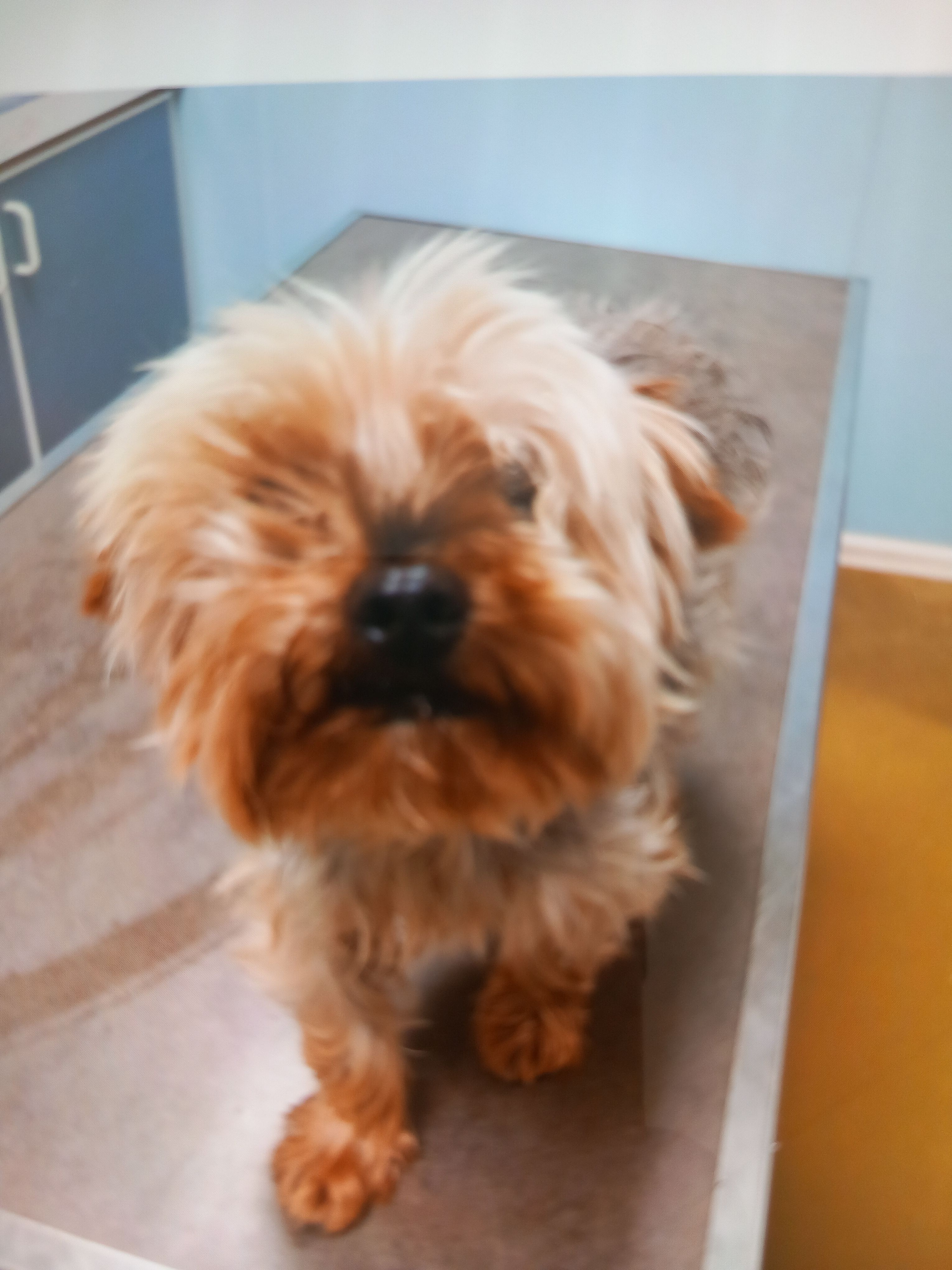 Kiko - Chemin Saint-Joseph, Beaucaire