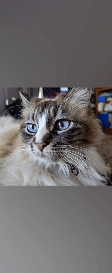 Lisou - 10 Avenue de Bidart, Biarritz