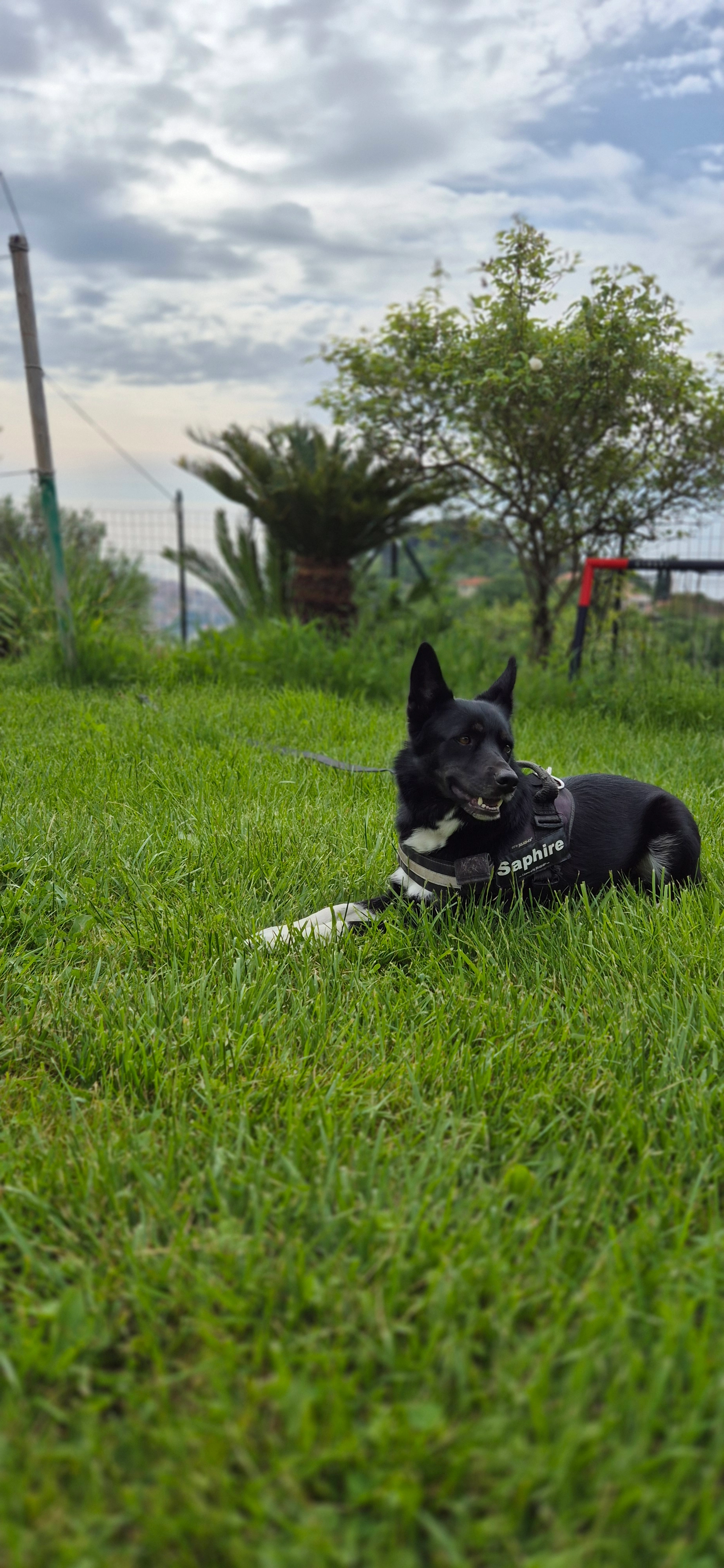 Saphire - Route Du Mont Gros, Menton