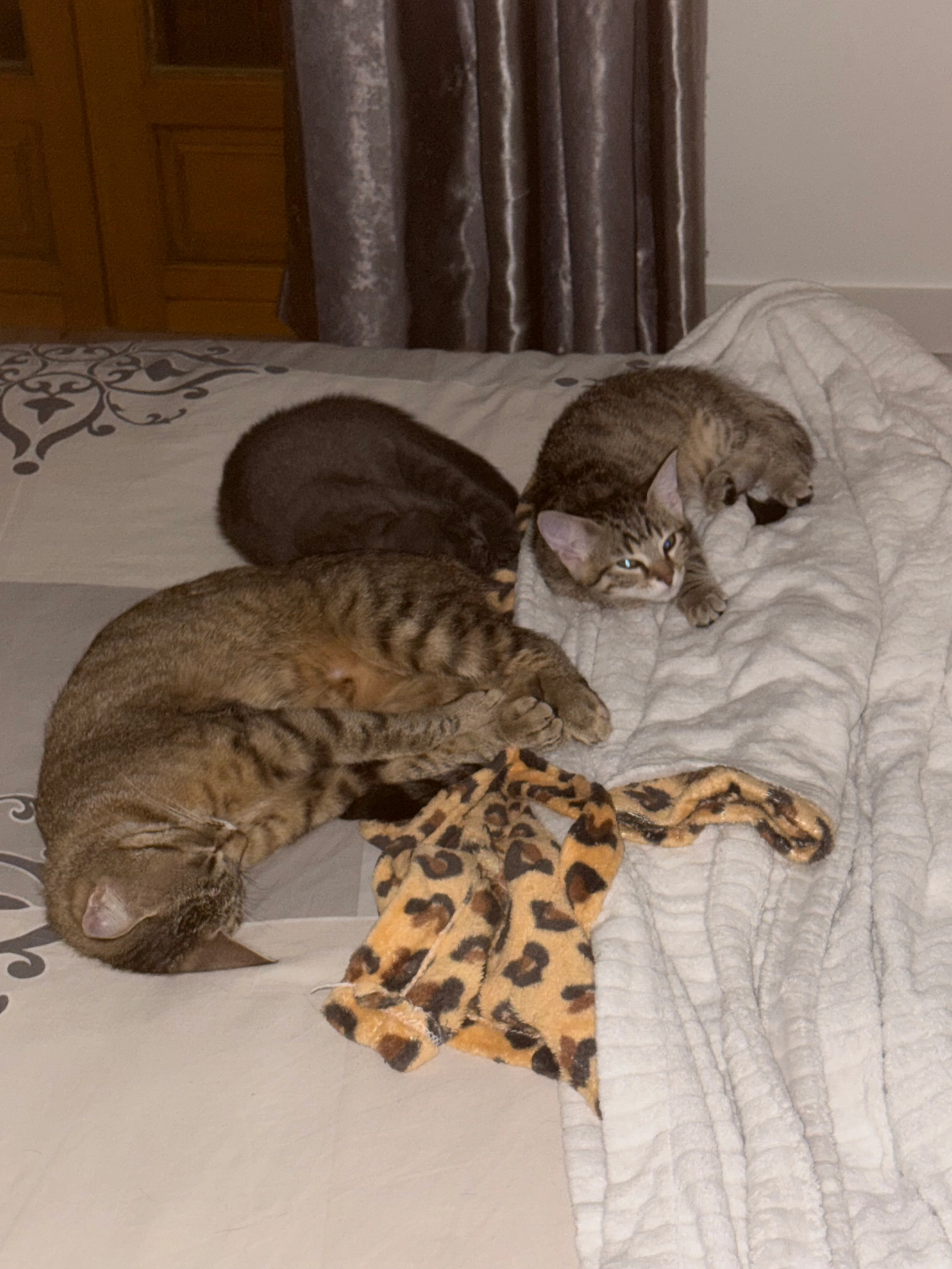 Minuit - 12 Rue du Lavoir, Roinville