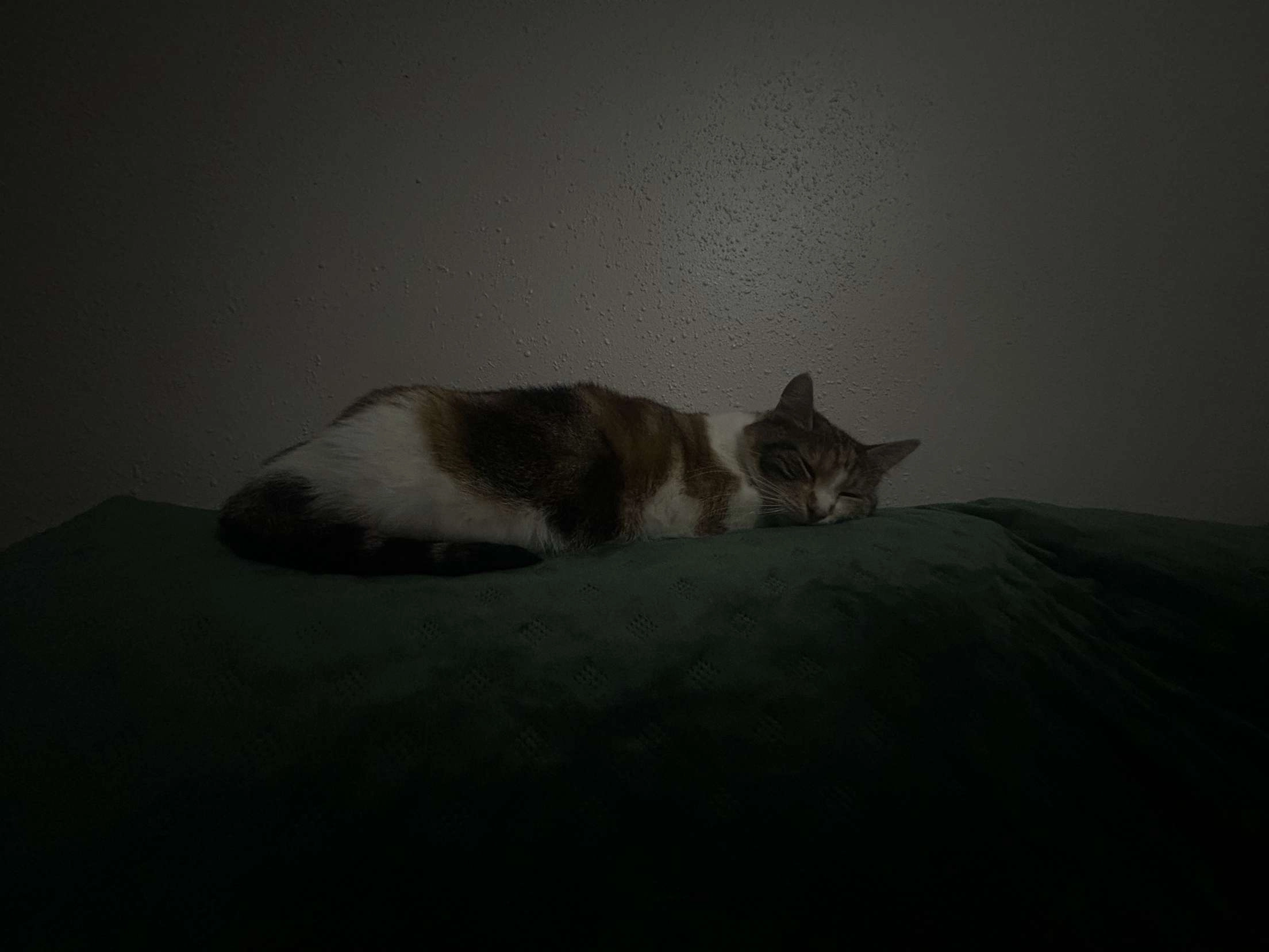 Twixy  - 28 Rue Edmond Bouy, La Charité-sur-Loire