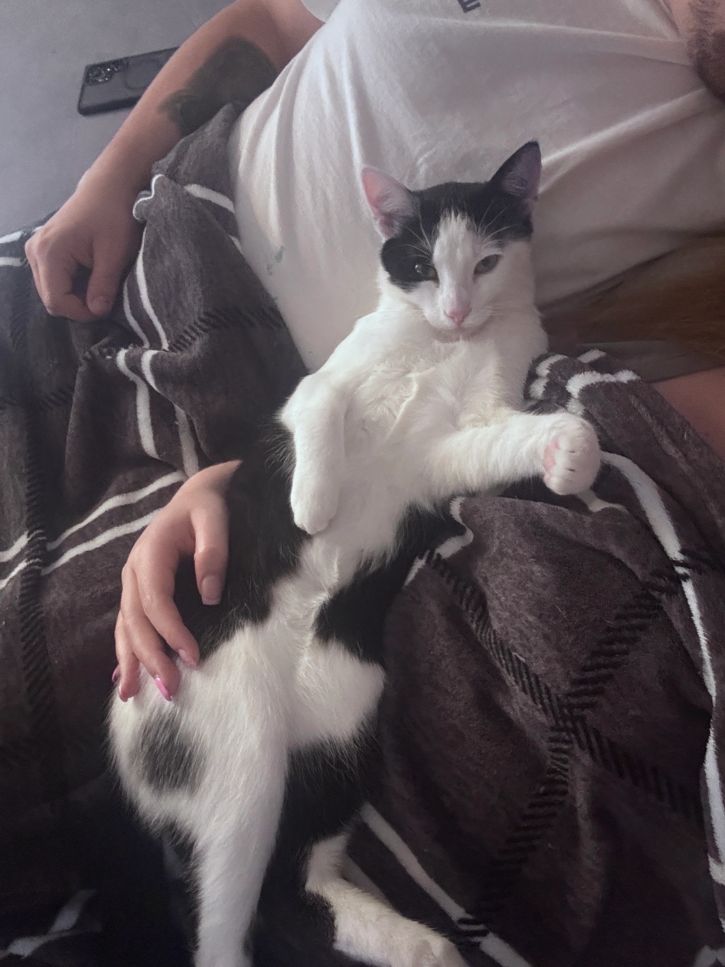 Charlie - Blumenstraße, Sonthofen