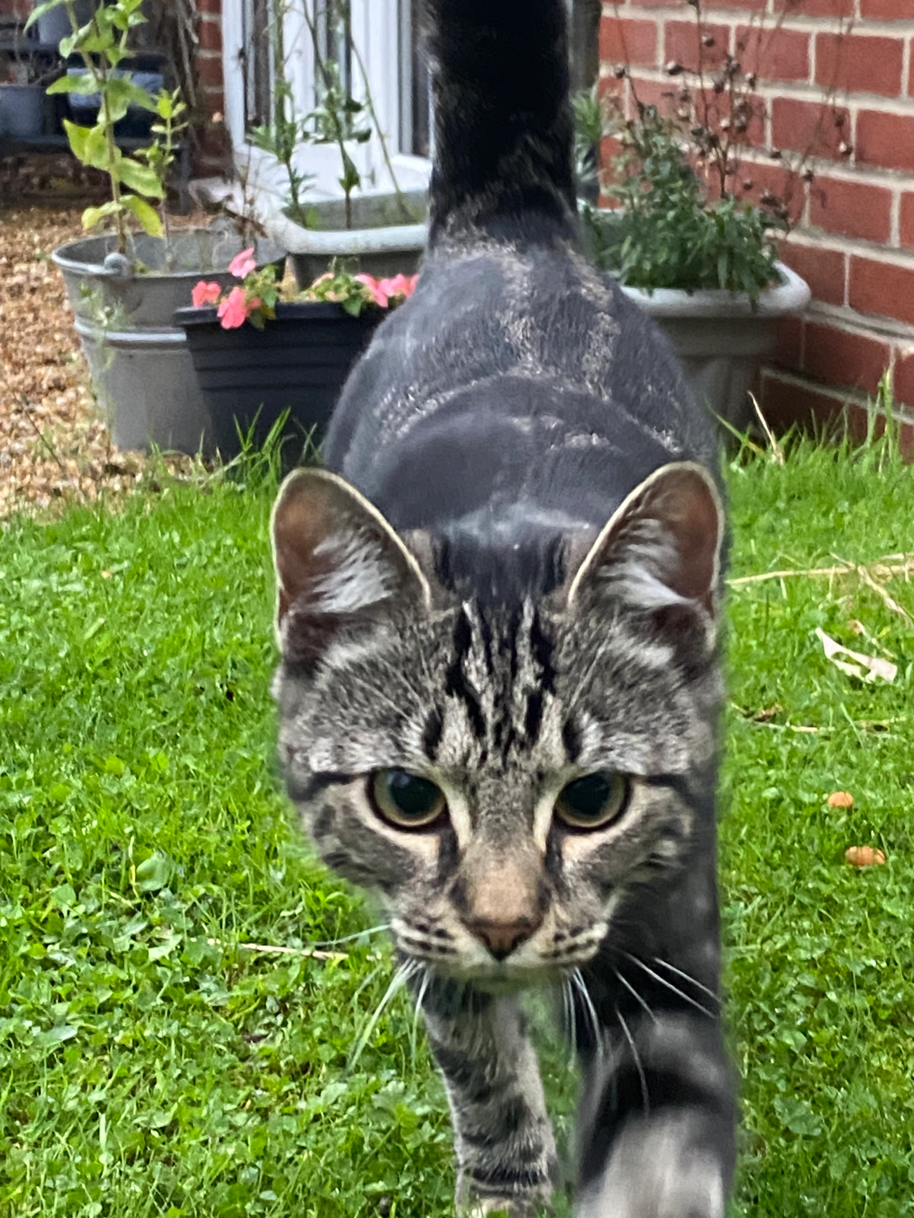 Lilo - New Road, Southampton