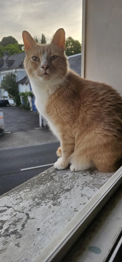 Caramel - 47 Avenue d'Espagne, Bidos