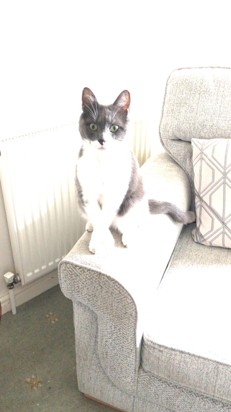 Mick  - Warwick Road, Stourbridge