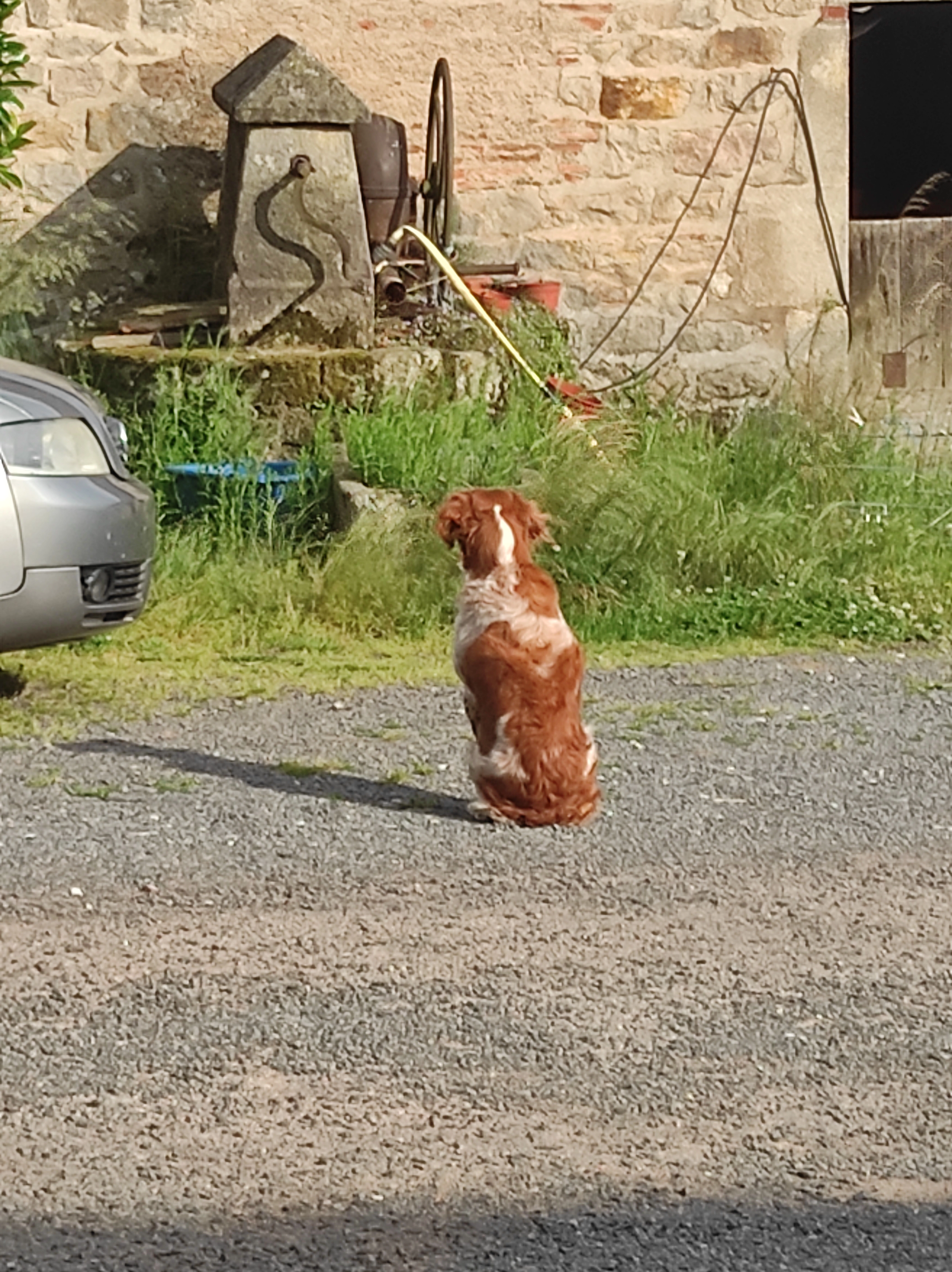 Isba - 94 Chemin de l'Essard, Mornay