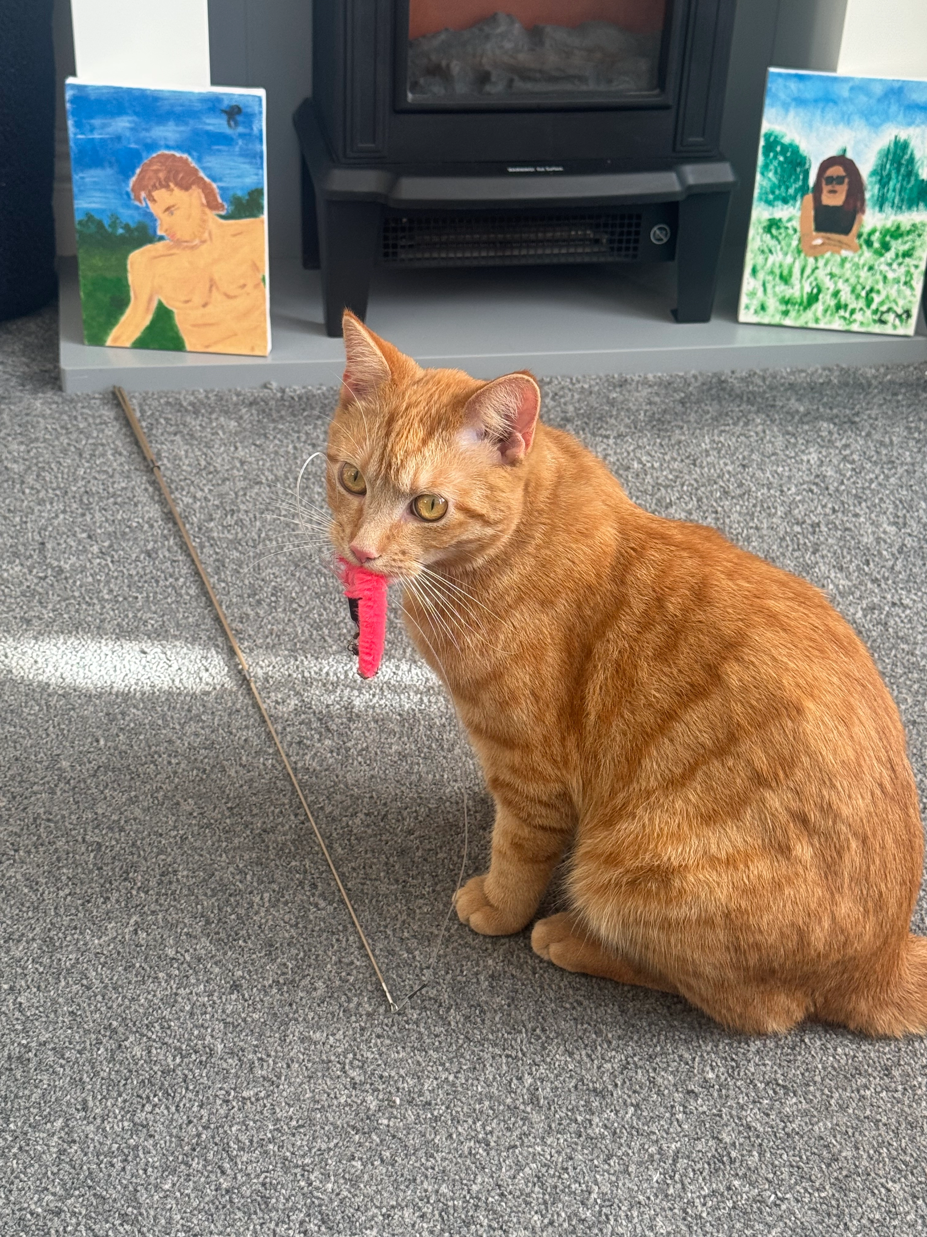 Hogarth  - CO15 3, Clacton-on-Sea