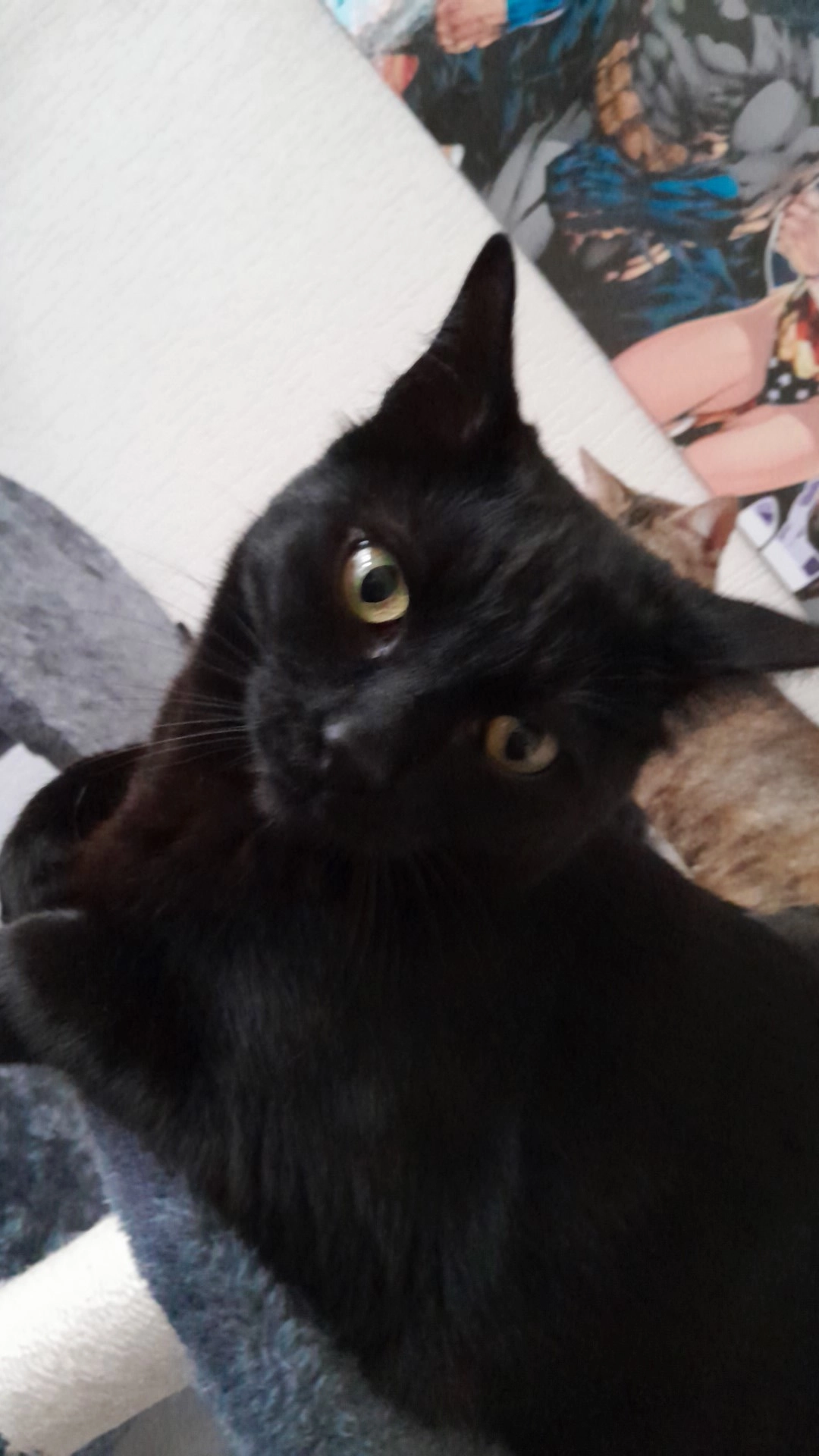 Rocket - 149 Elixako Bidea, Louhossoa