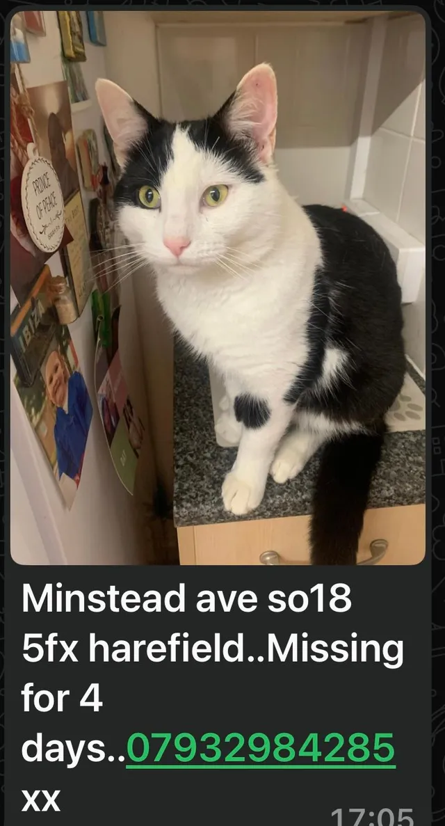 Nova - Minstead Avenue, Southampton