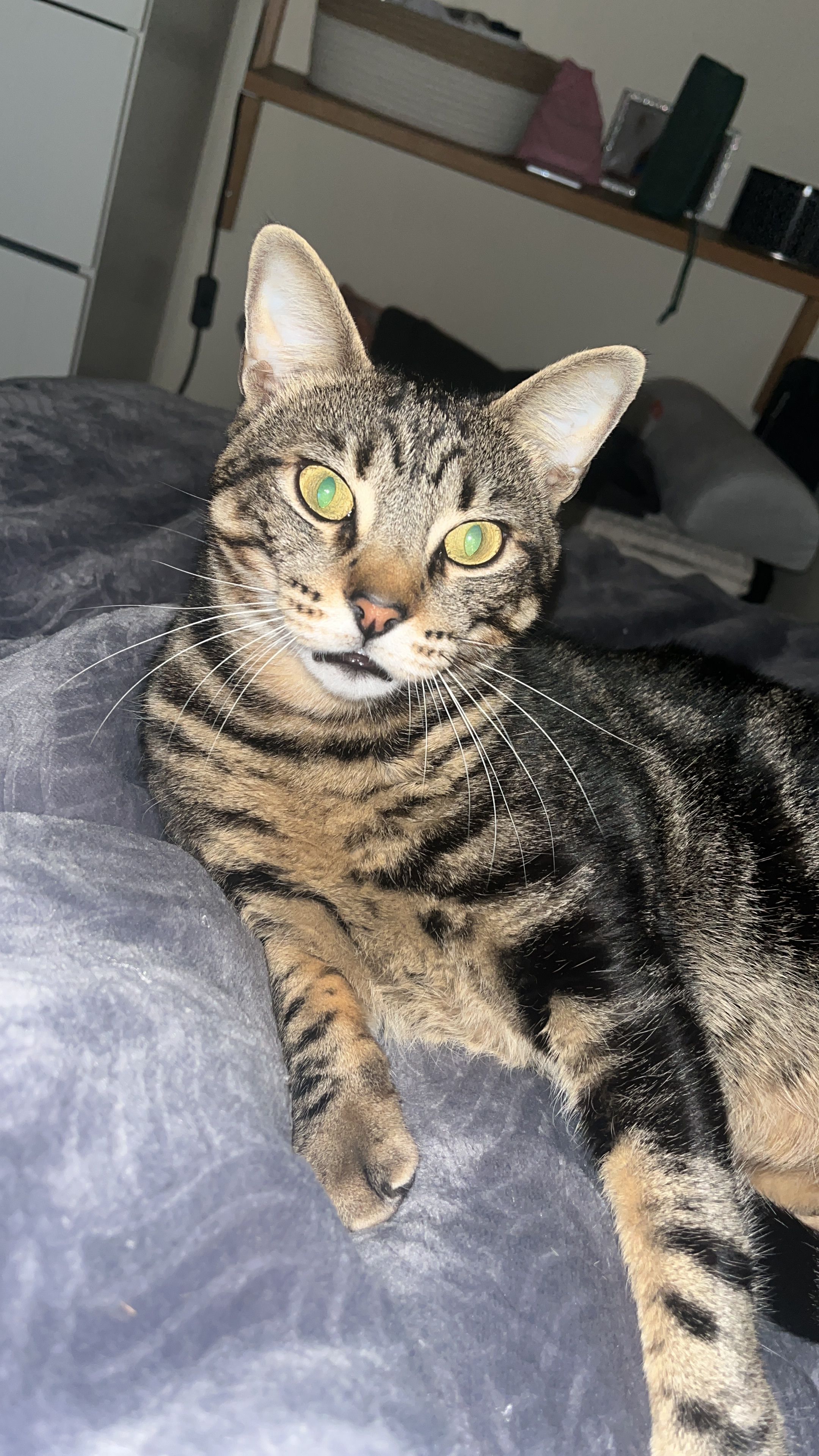 côco - Avenida Dos Estados Unidos Da América, Lisbon