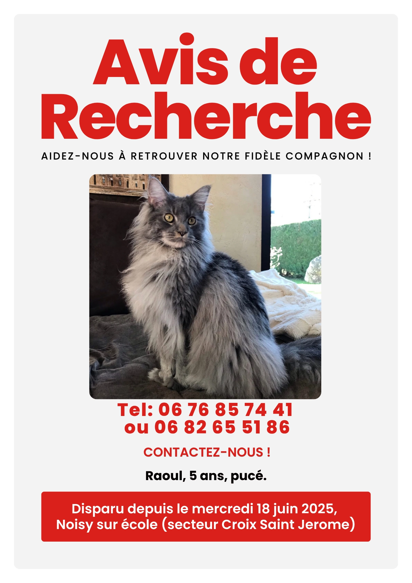 Raoul - 2 Chemin de la Saussaie, Noisy-sur-École