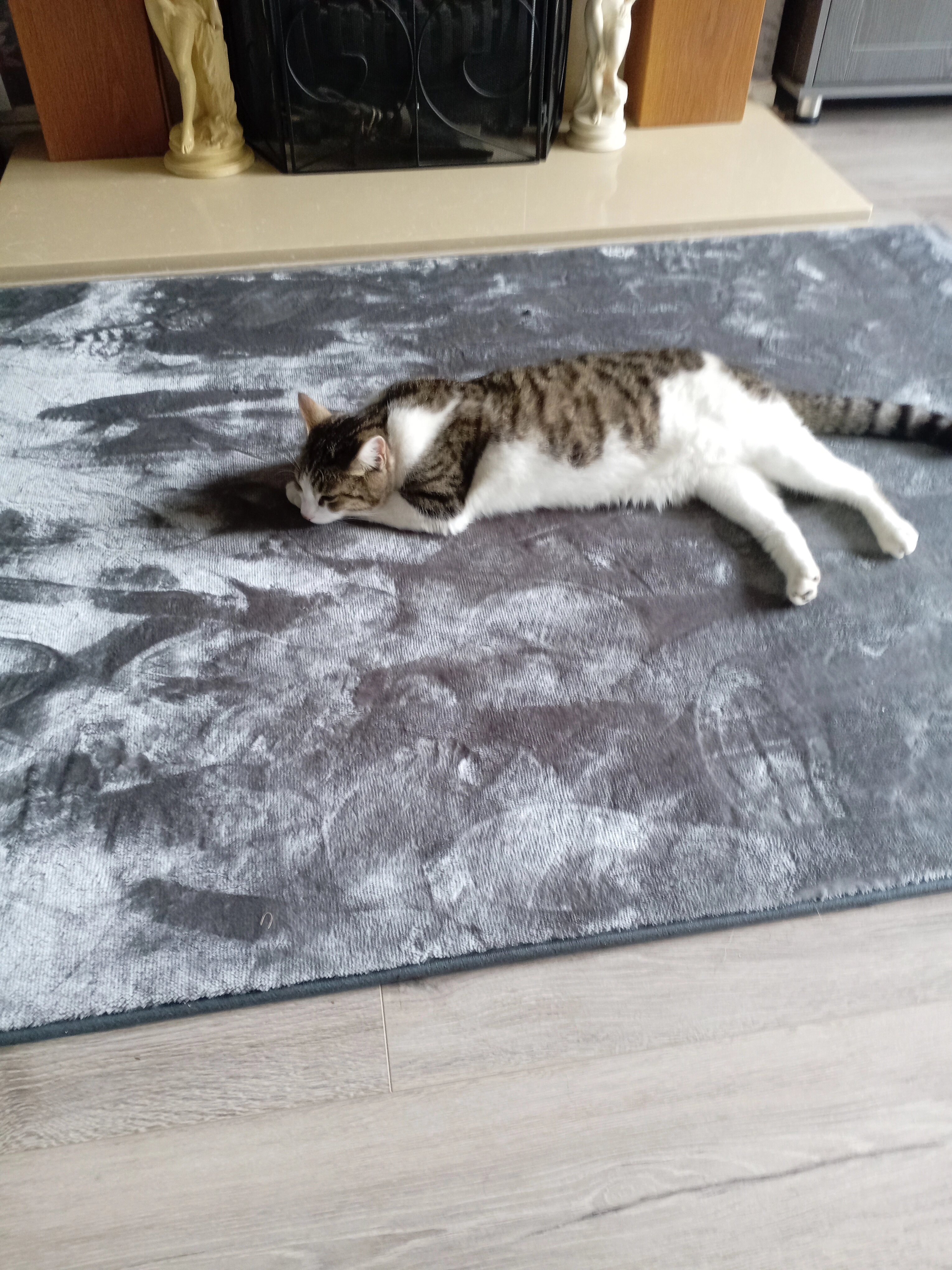 Mia - Wentlows Road, Stoke-on-Trent