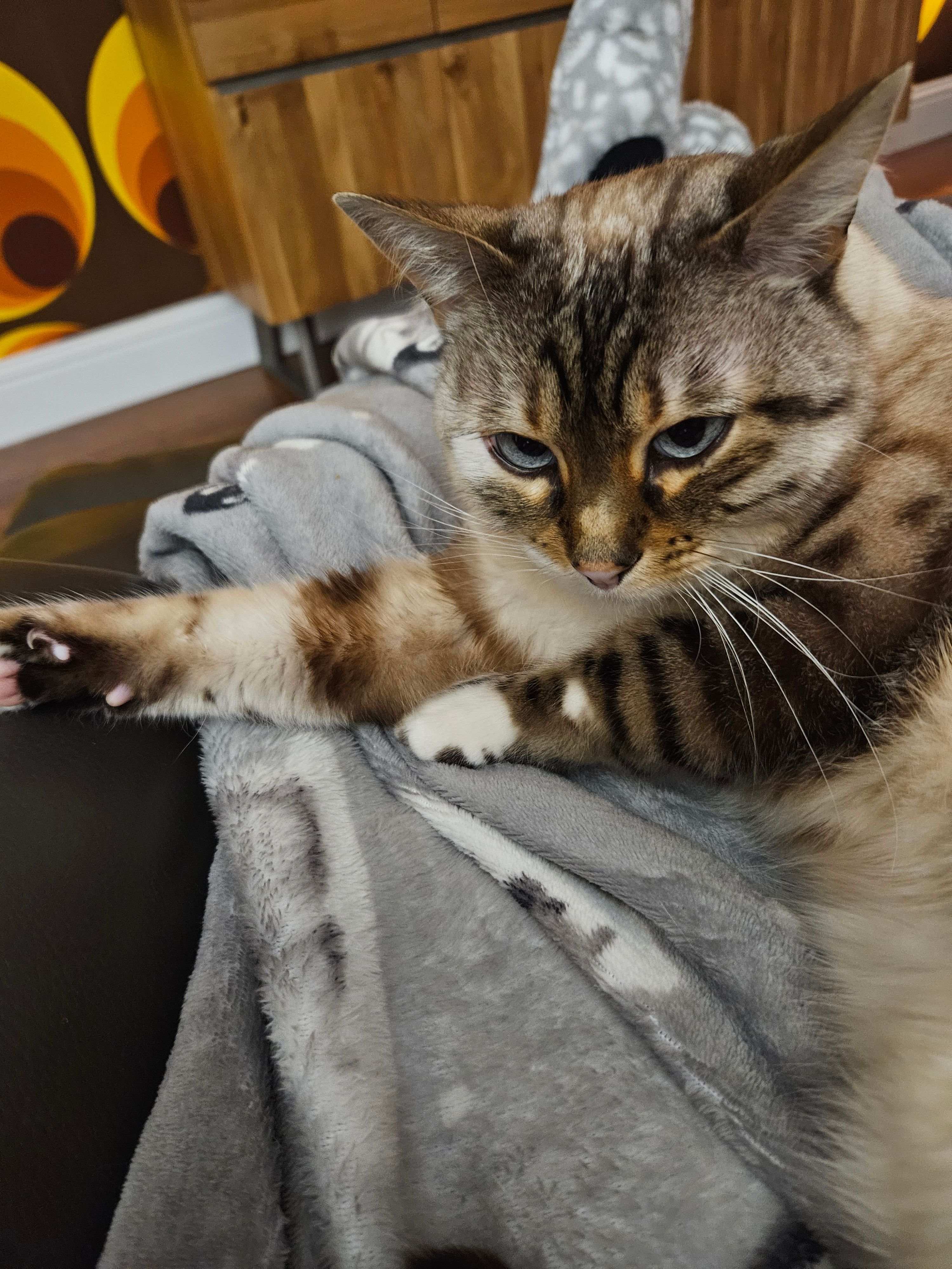 Pearl - Bradstow Way, Broadstairs