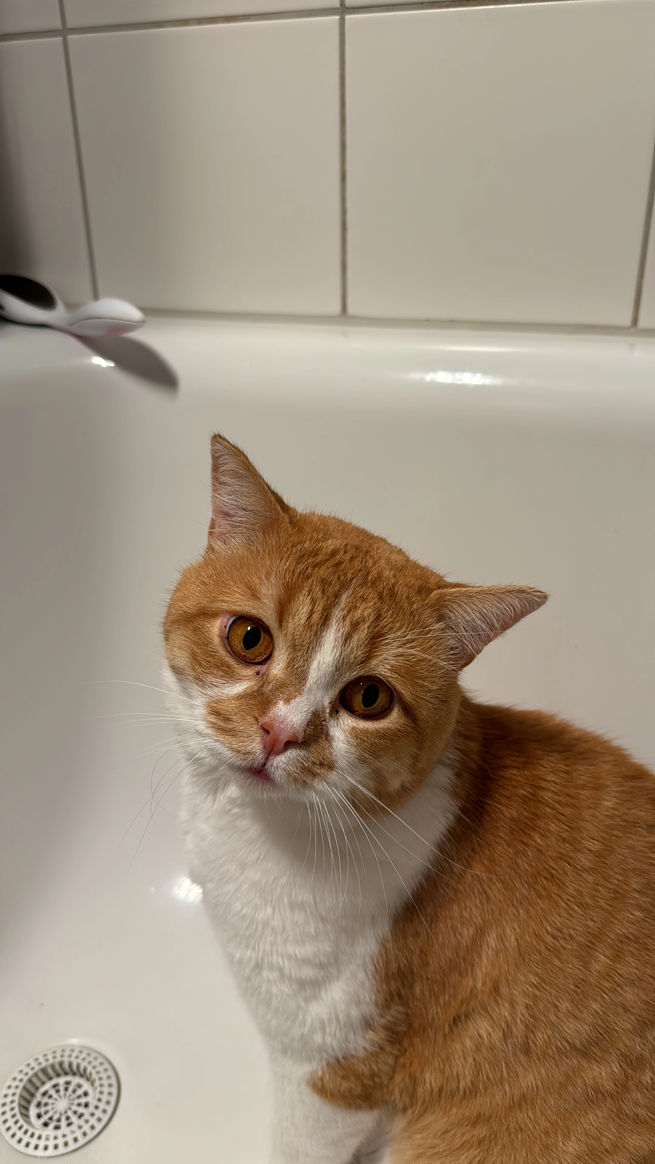 Luntik - Lundenweg, Hannover