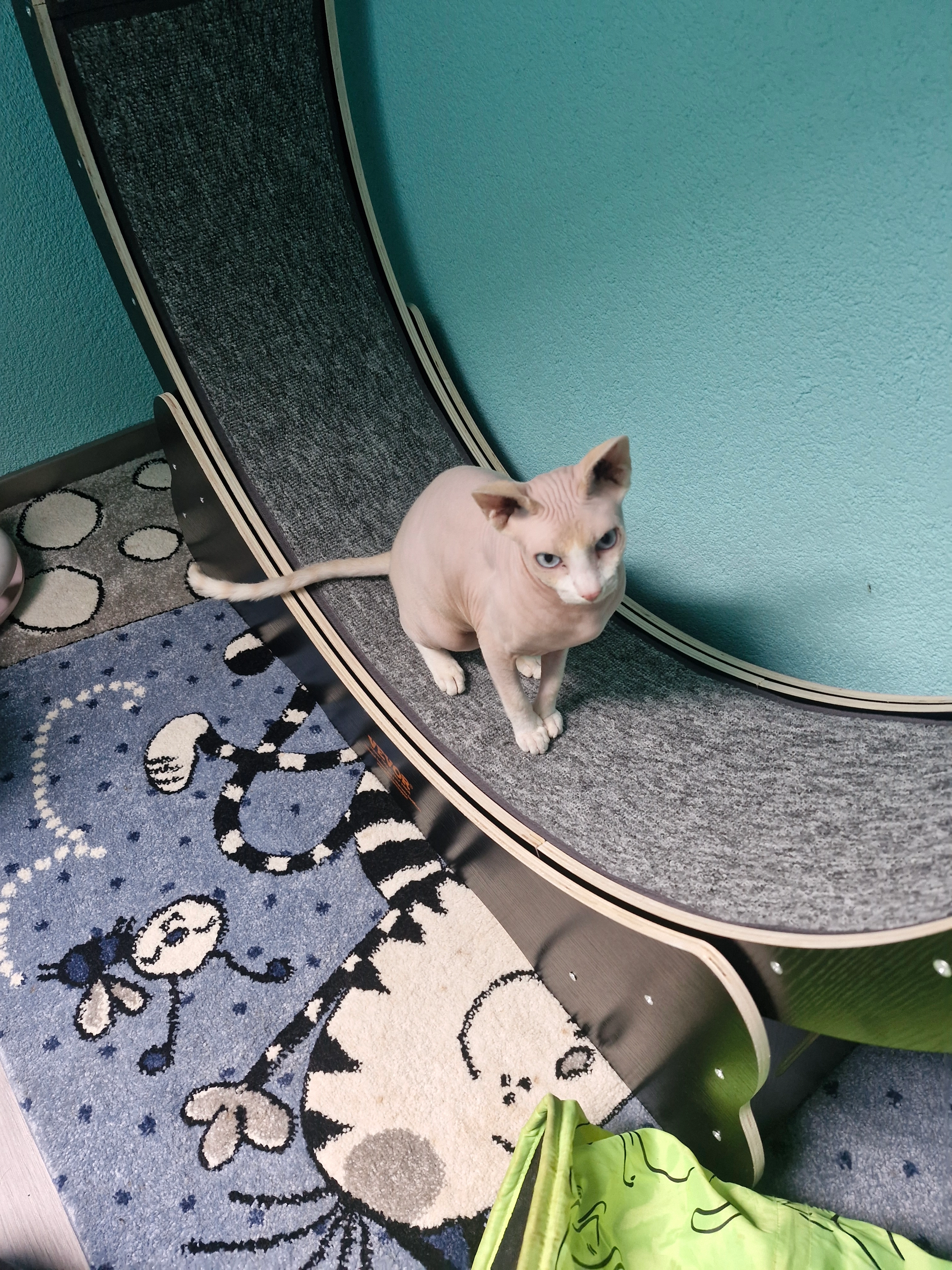 aiden - Talstraße, Winterbach