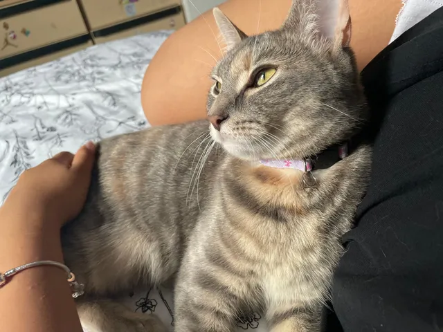 Mimi - South 7th Street, Philadelphia