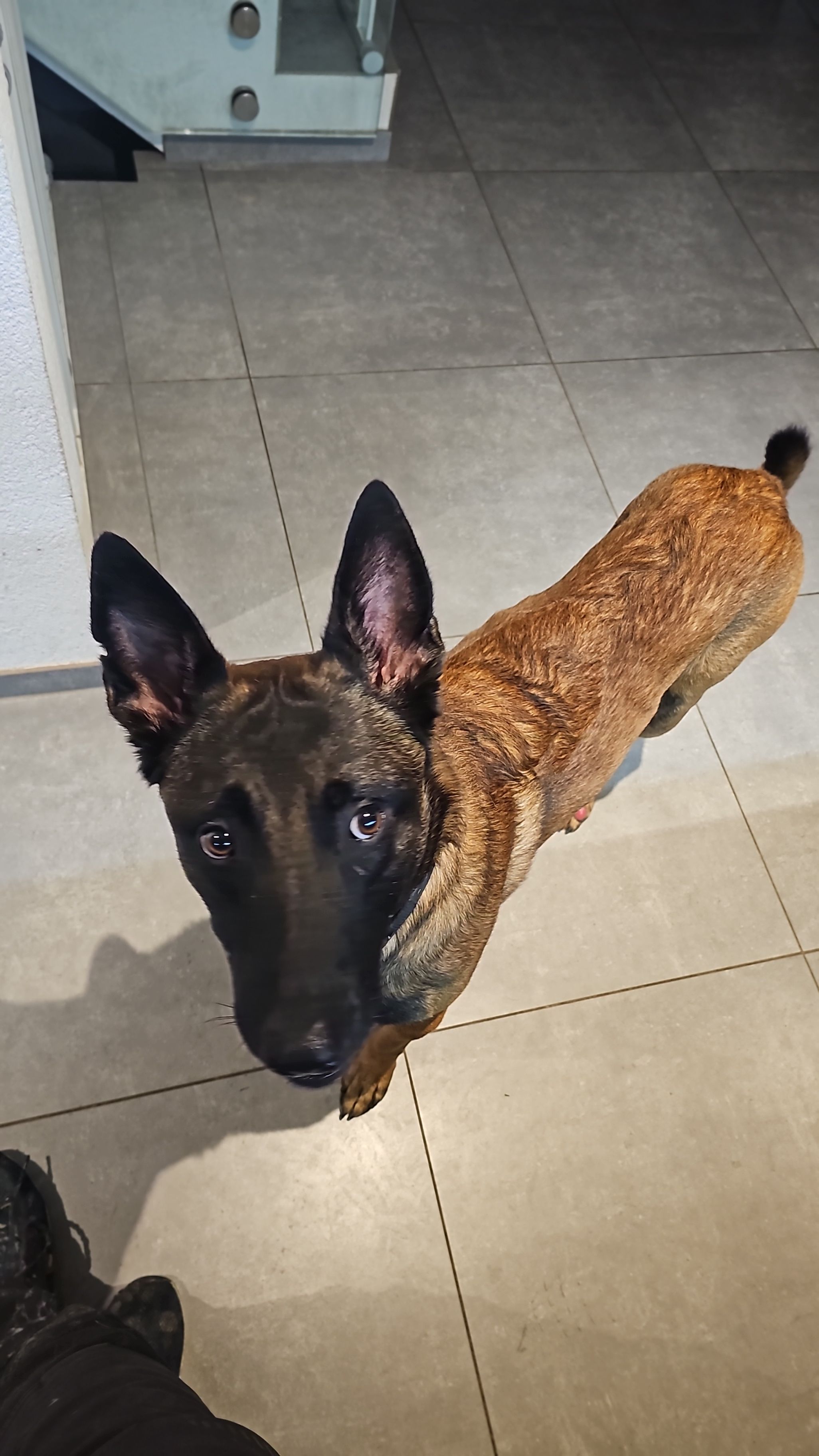 Titus - Route de Romanoche, Gibloux