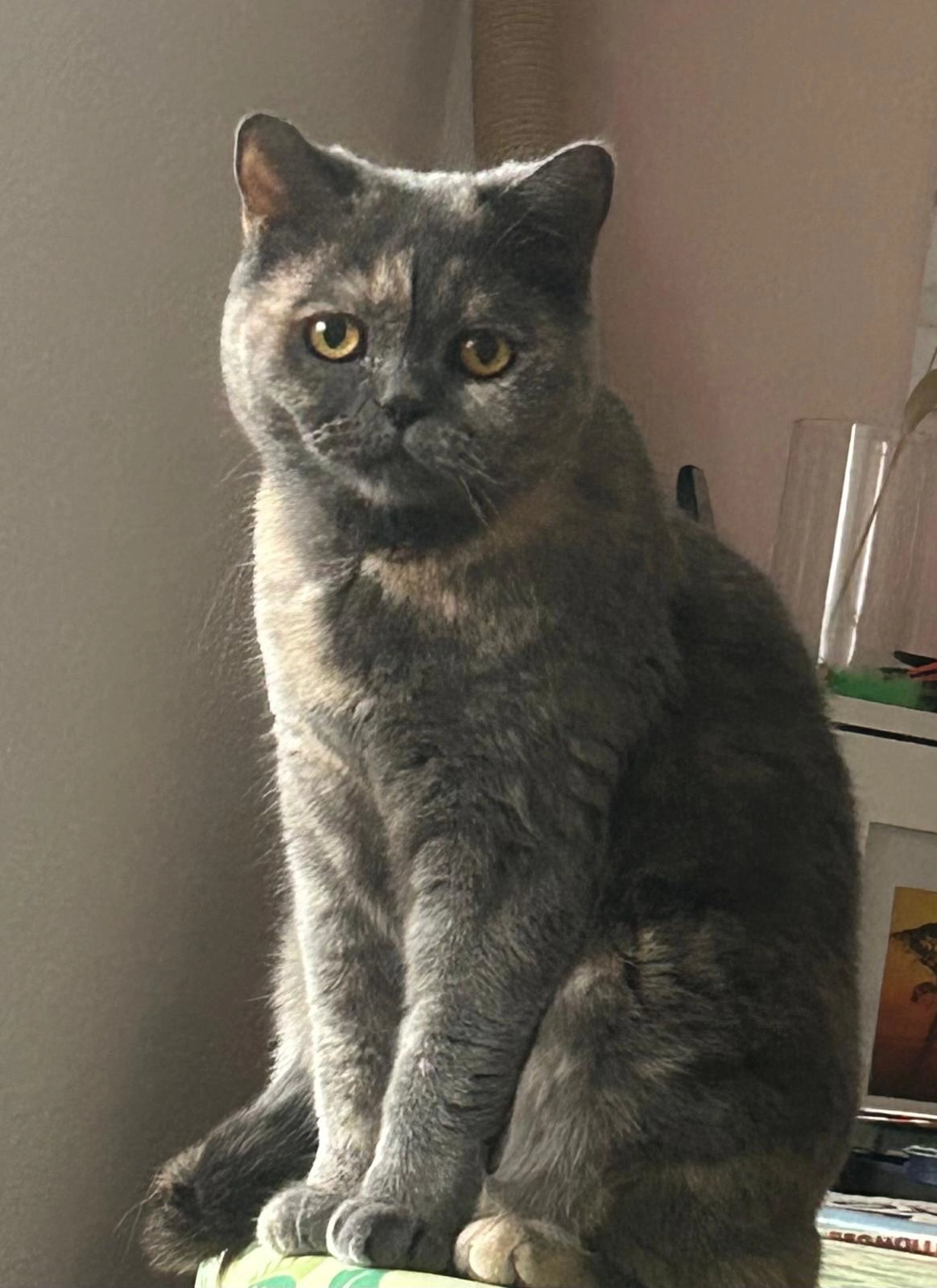 Naorie - Gartenstraße, Neufahrn bei Freising