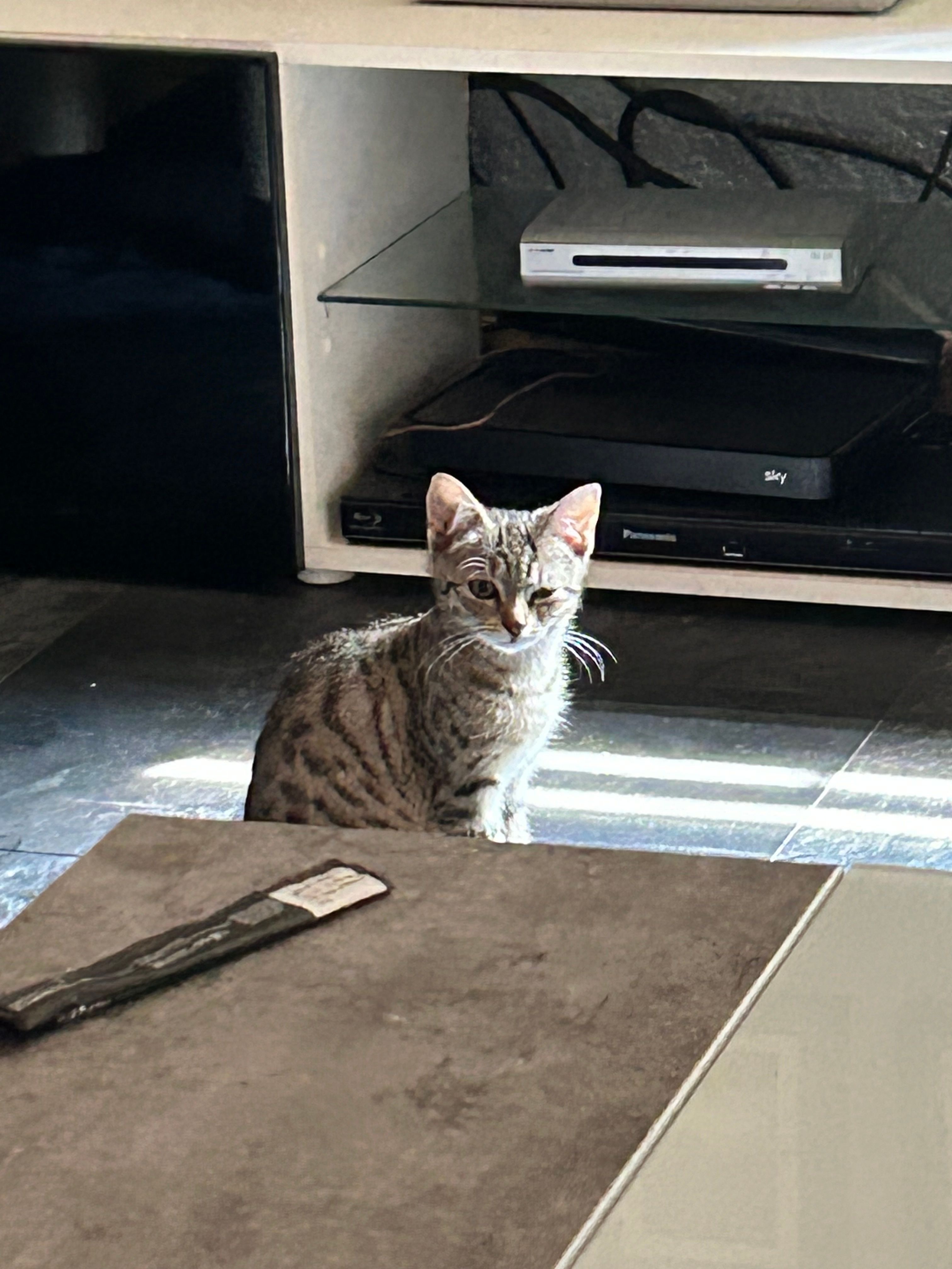 Mila - Friedhofstraße, Saalfeld