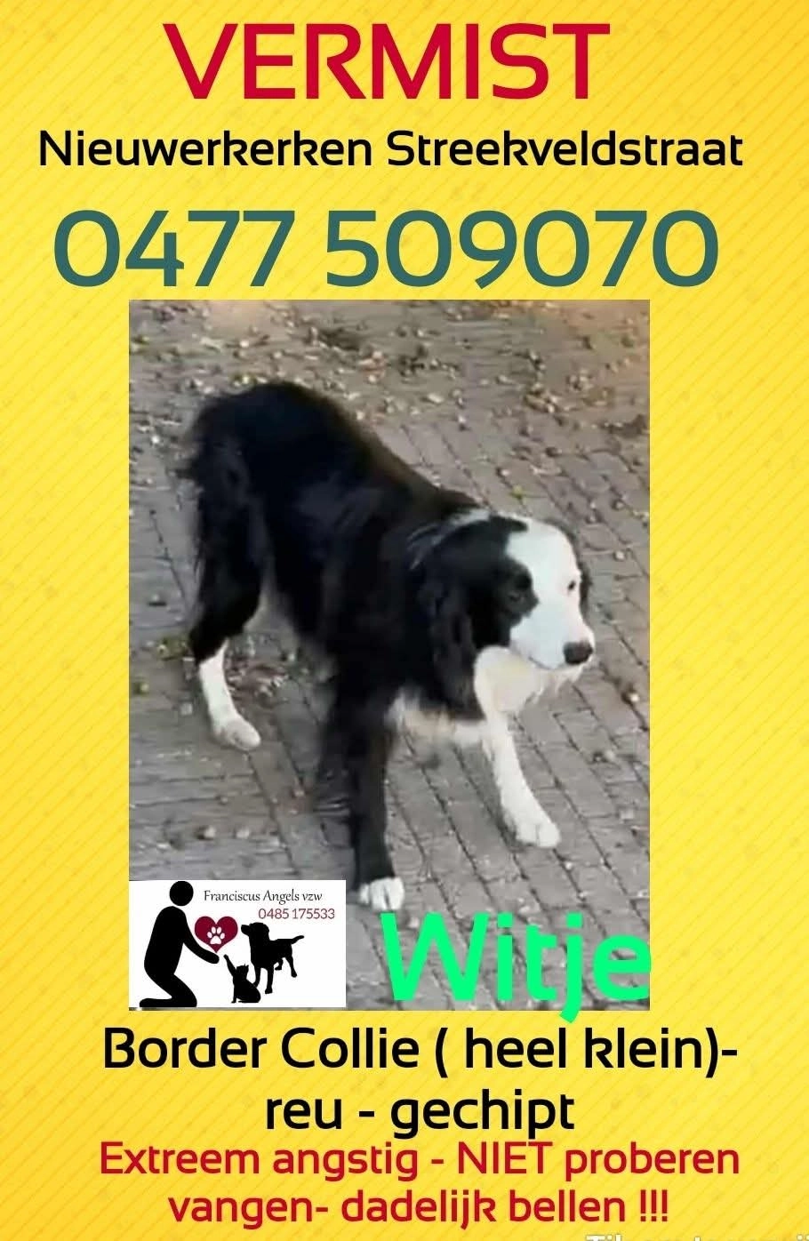 Witje - Streekveldstraat, Nieuwerkerken