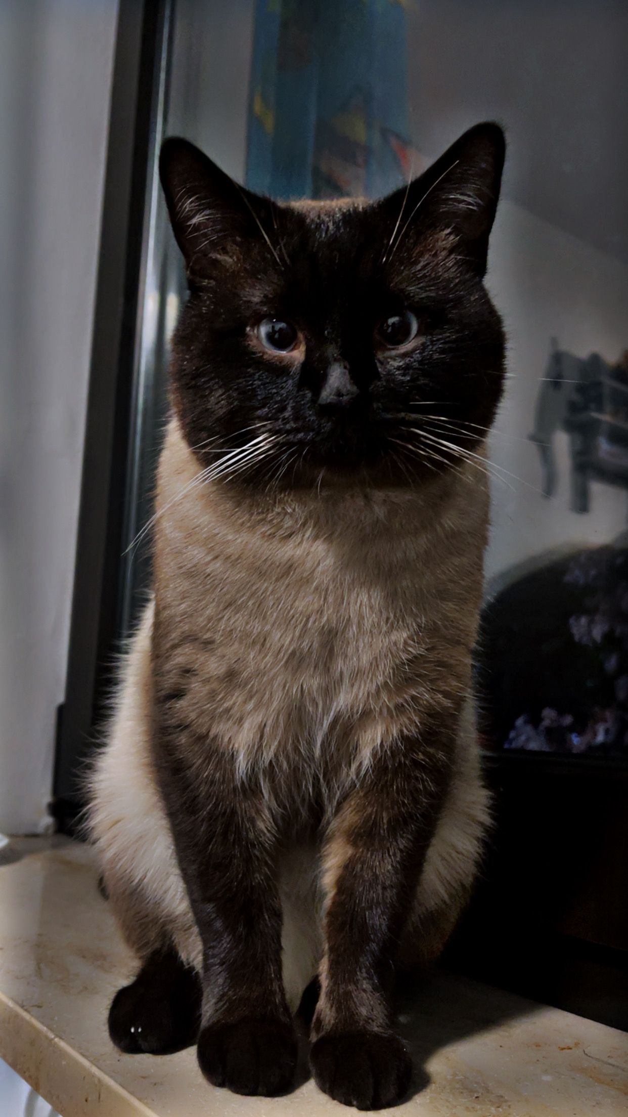 Lio - Bahnhofstraße, Oberviechtach