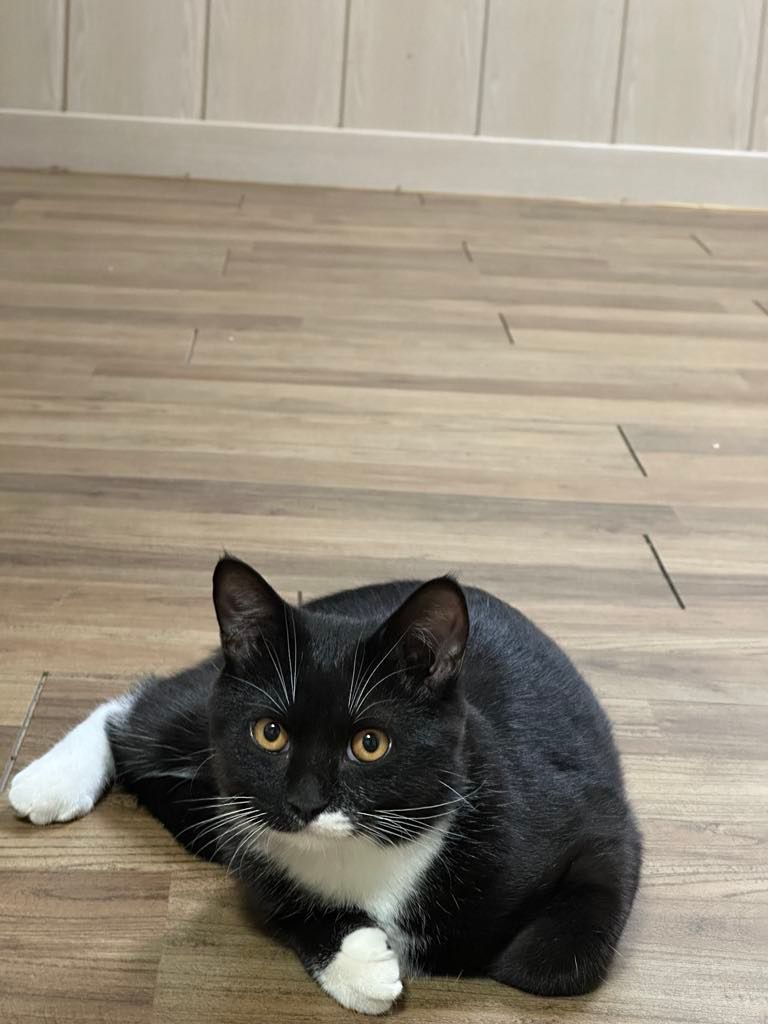 밥 - 성서서로73길 62, 달서구