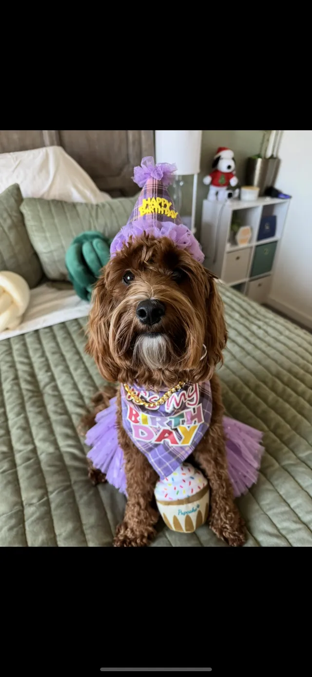 Penny - 29015 Newport Rd, Menifee