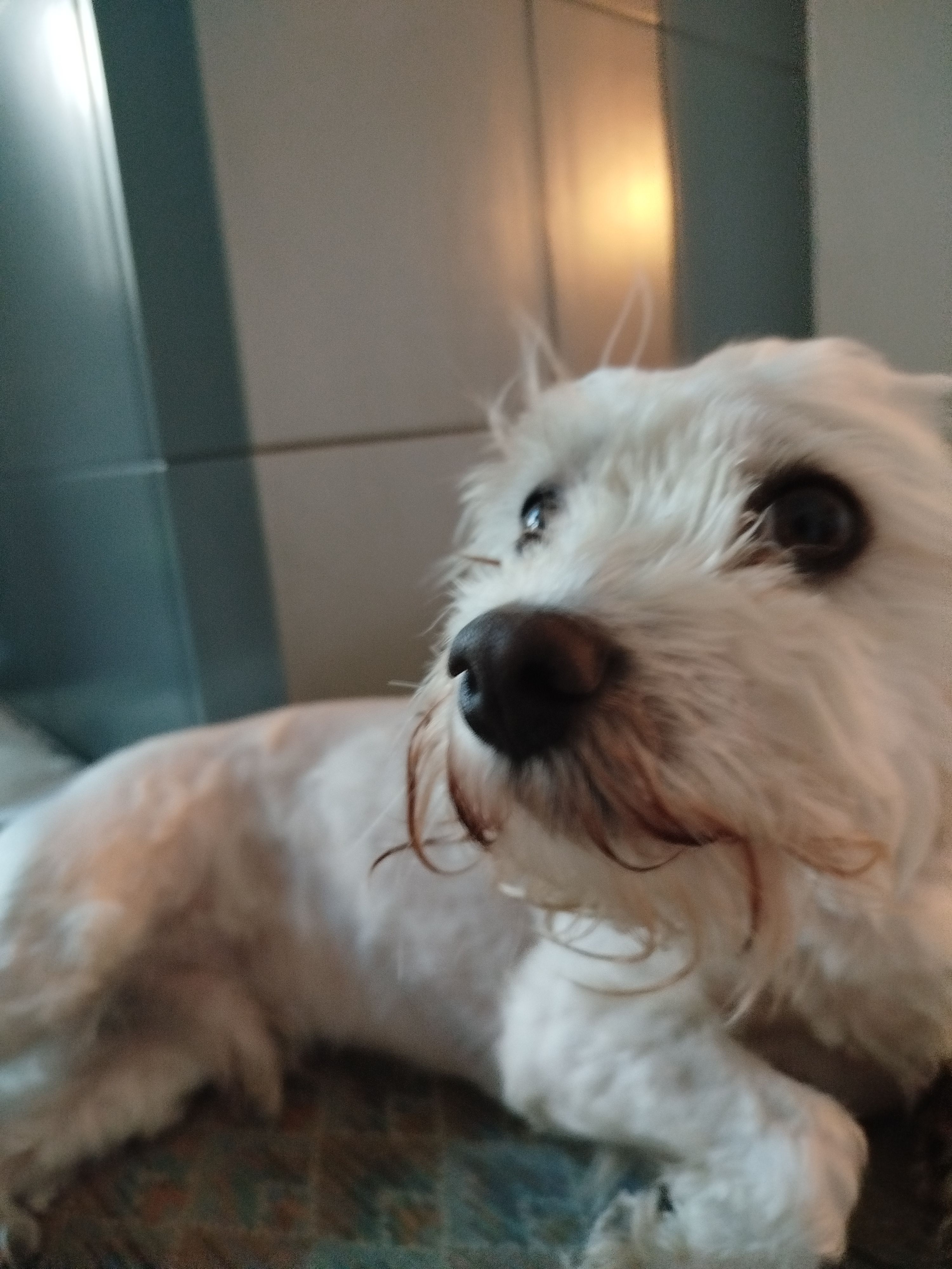 Edy - Oberpfons, Matrei am Brenner