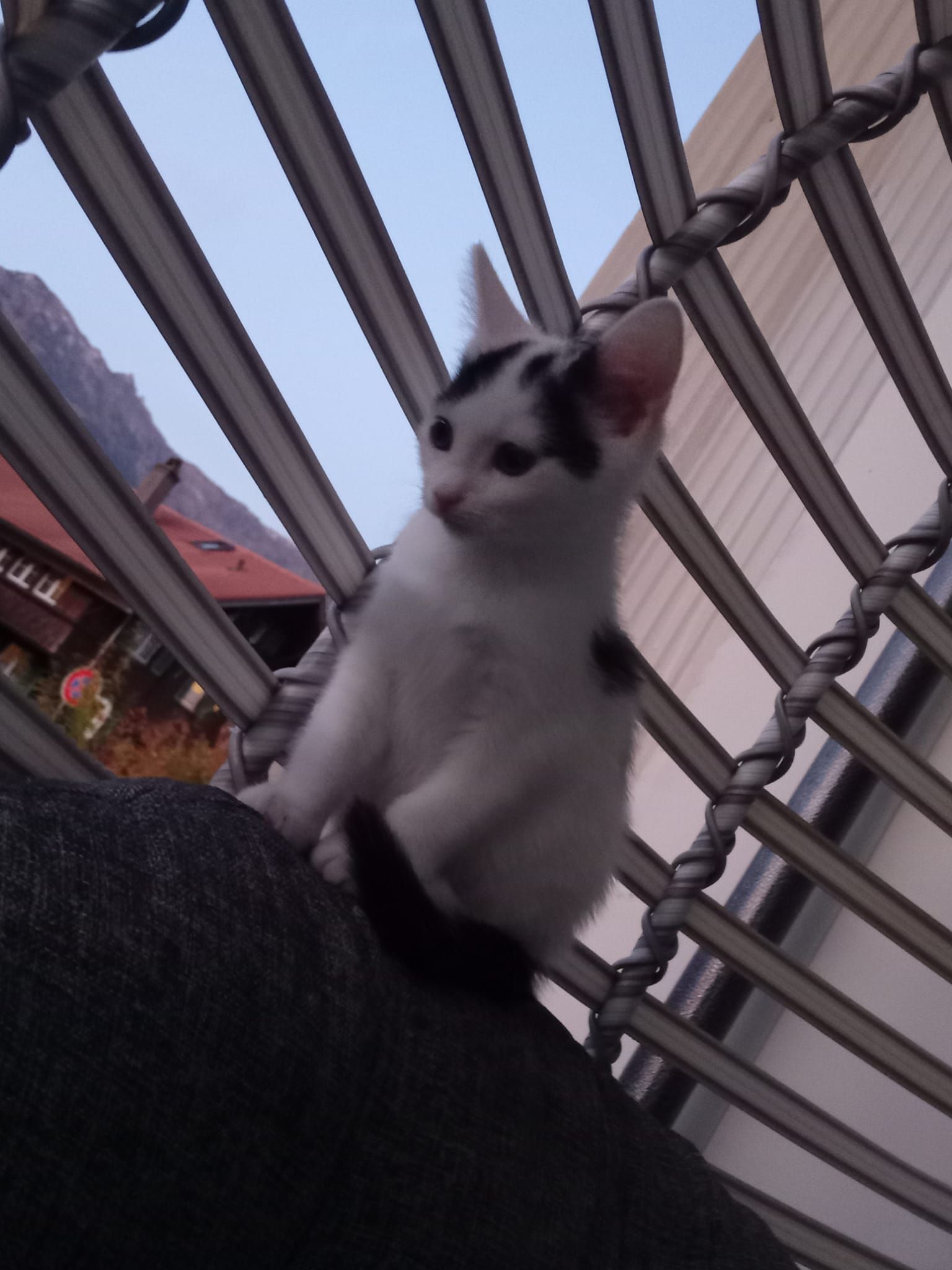 Nabati - Seidenfaden Strasse , Unterseen