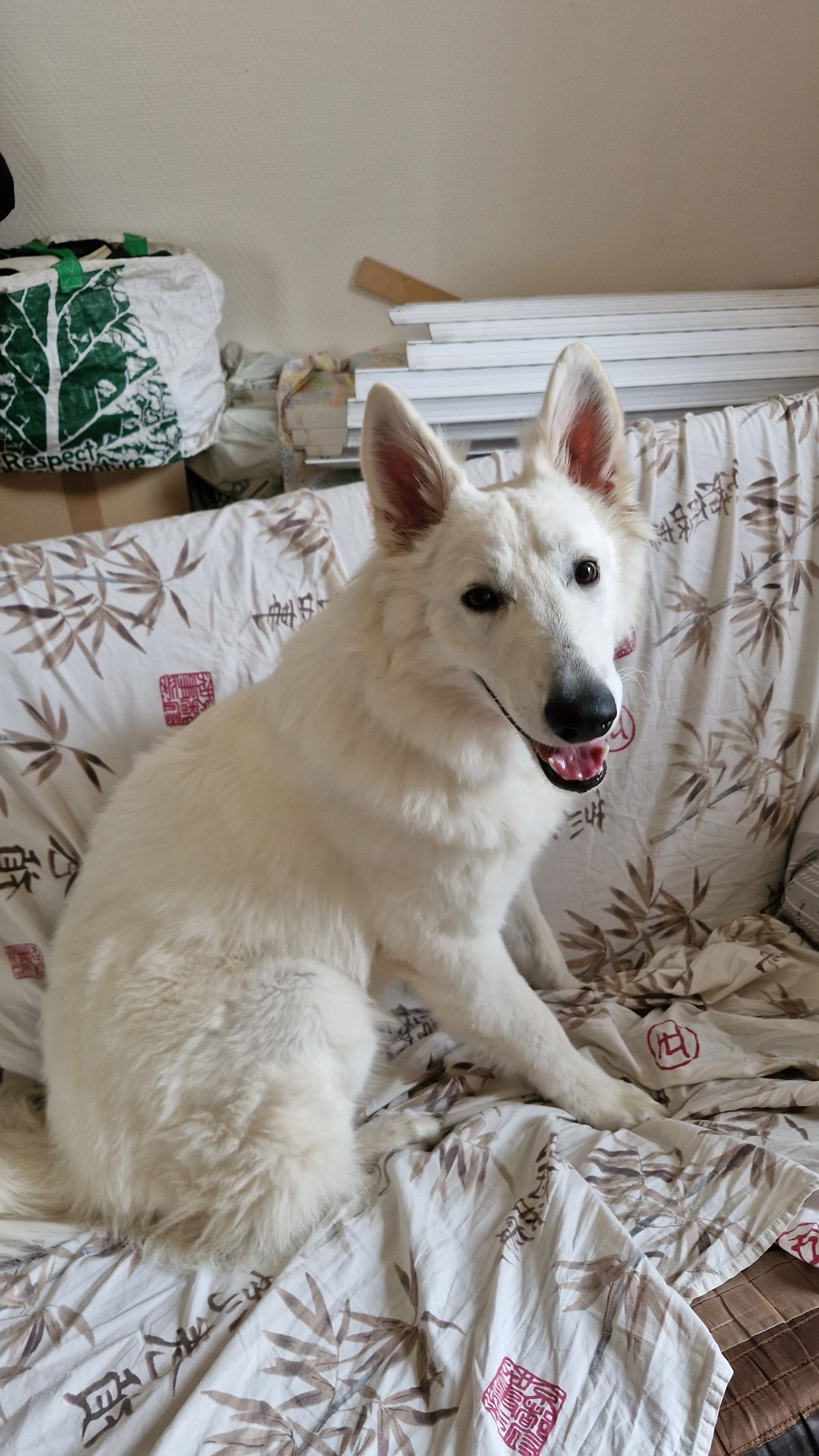 Venom - 279 Route de Noailles, Brive-la-Gaillarde