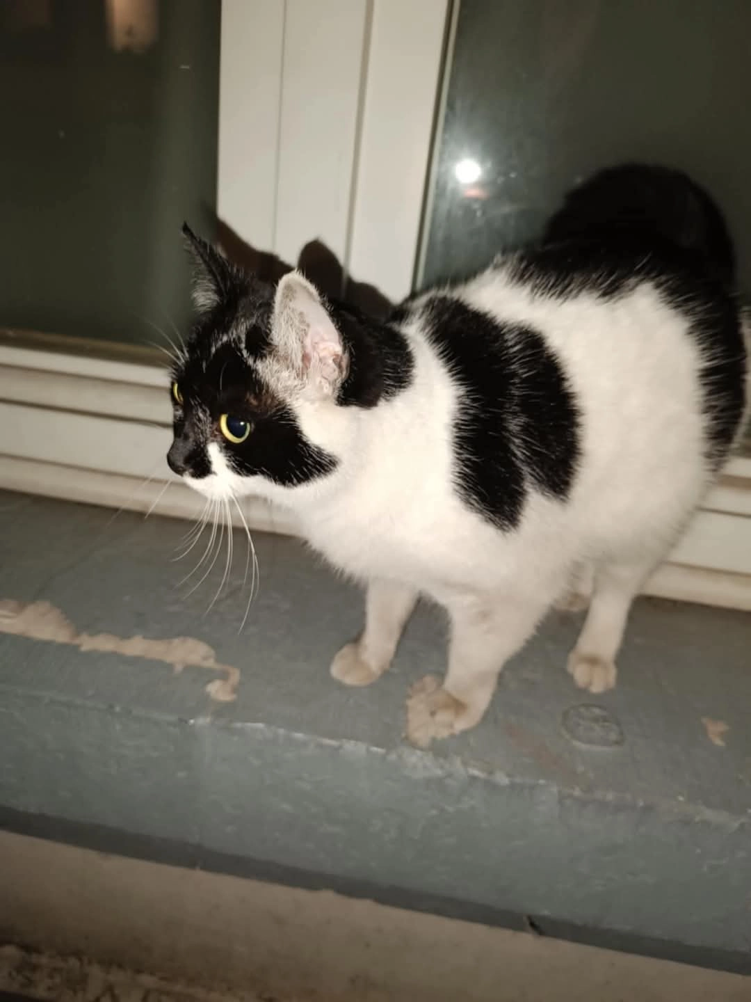 Oreo - Rue des Ecoles, Verviers