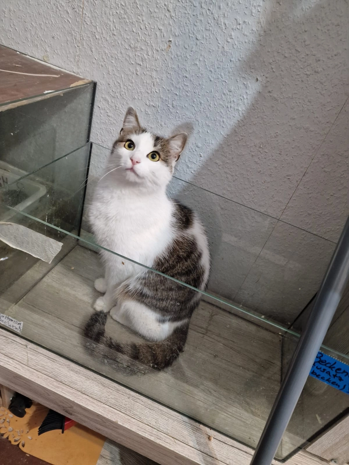 Yester - Alte Regensburger Straße, Hermsdorf