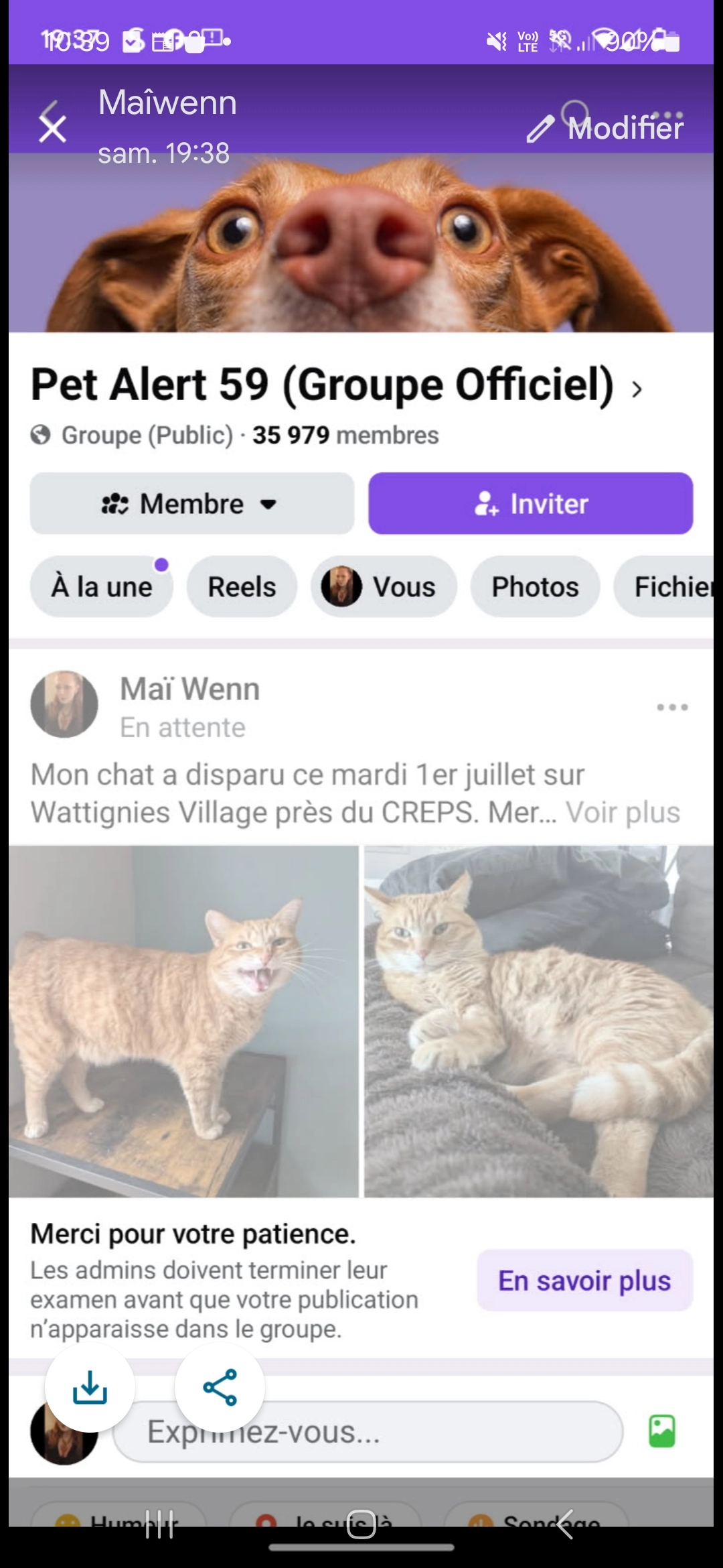 POUTINE - Rue Guynemer, Wattignies