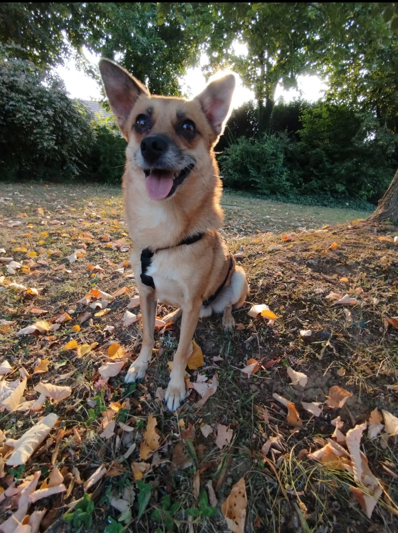 Moris - 116 Boulevard de l'Oise, Vauréal