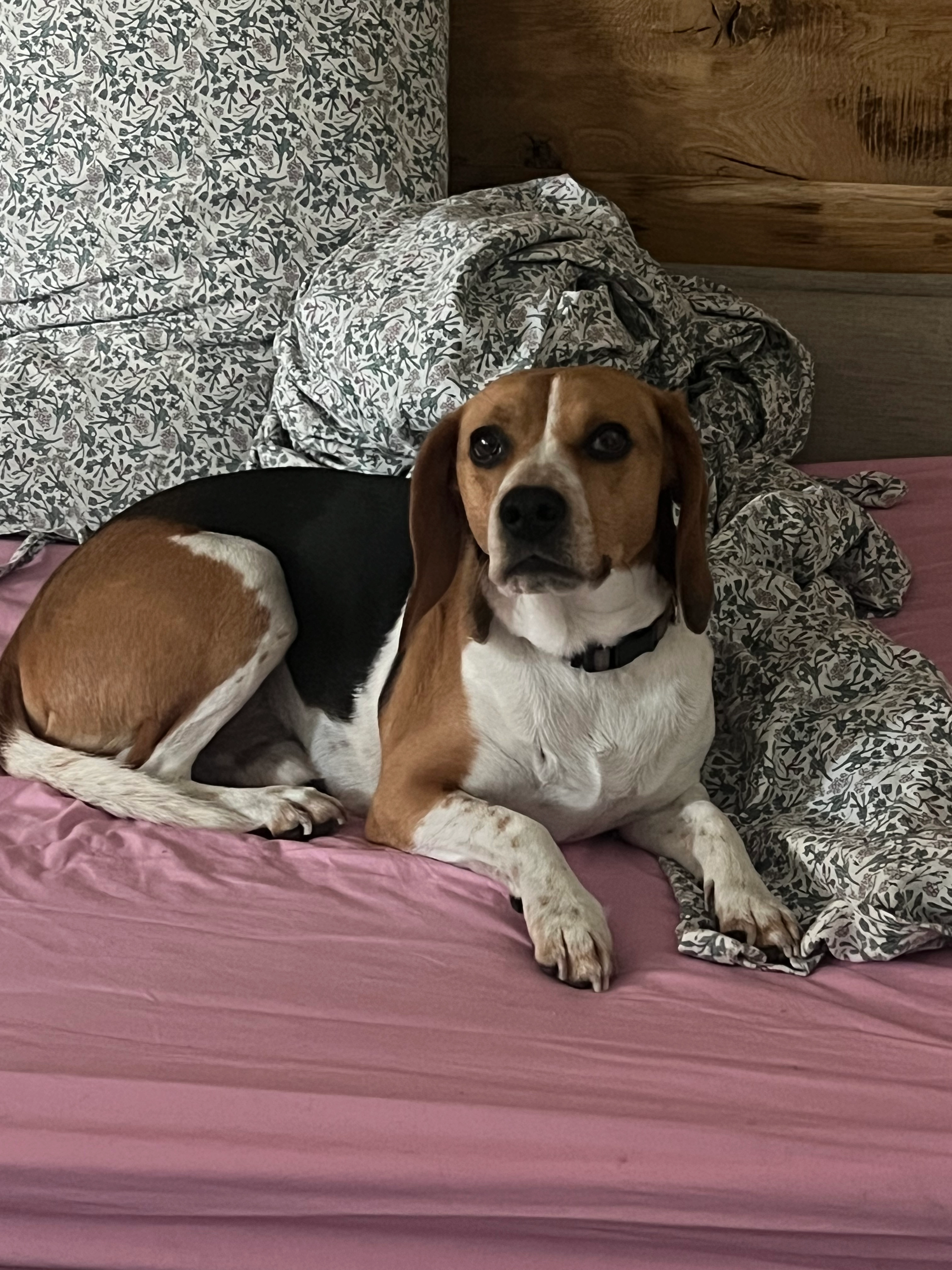 Open - Rue de la Station, Périgueux