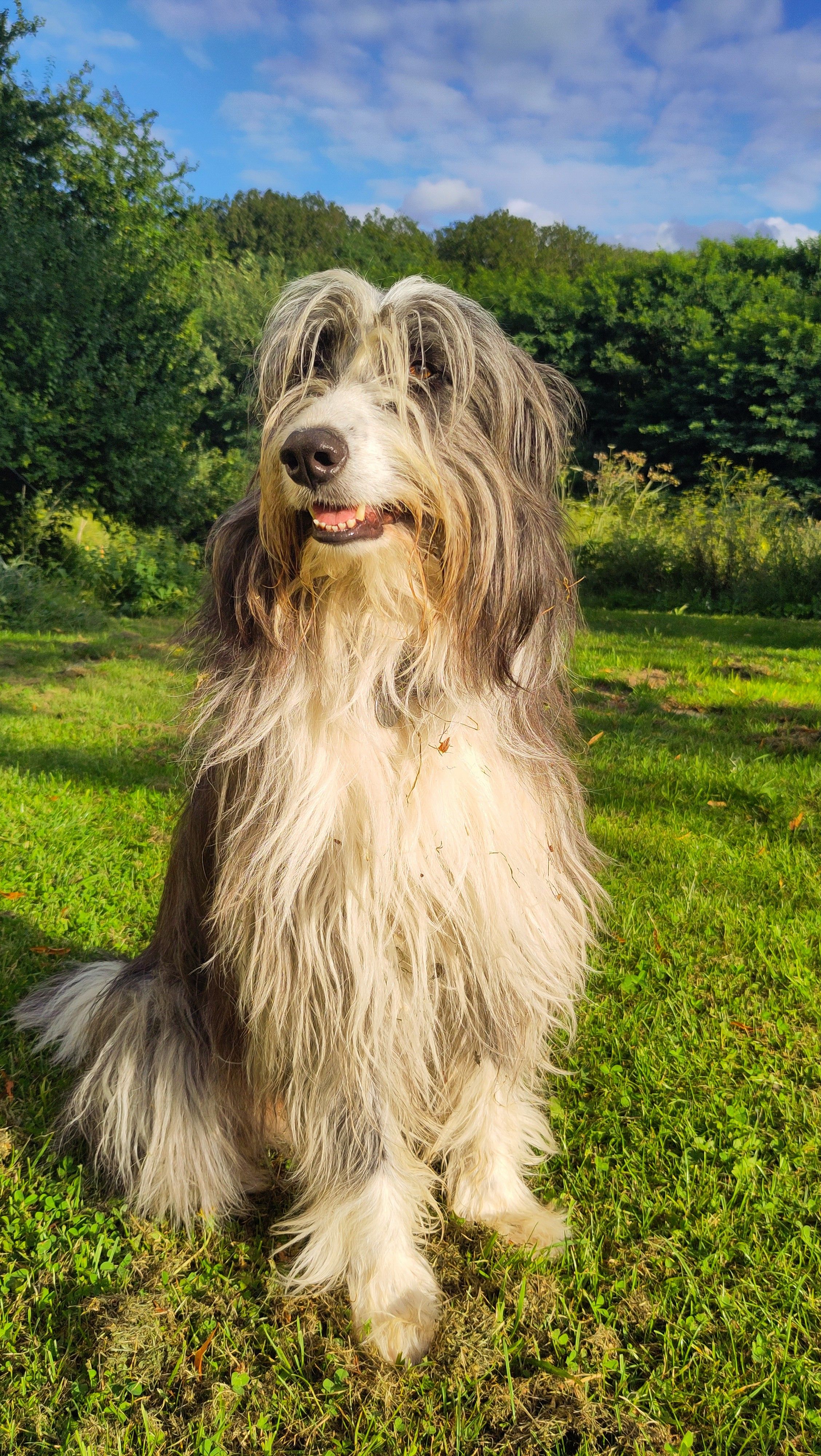 siska - Rue Régnier, Villeblevin