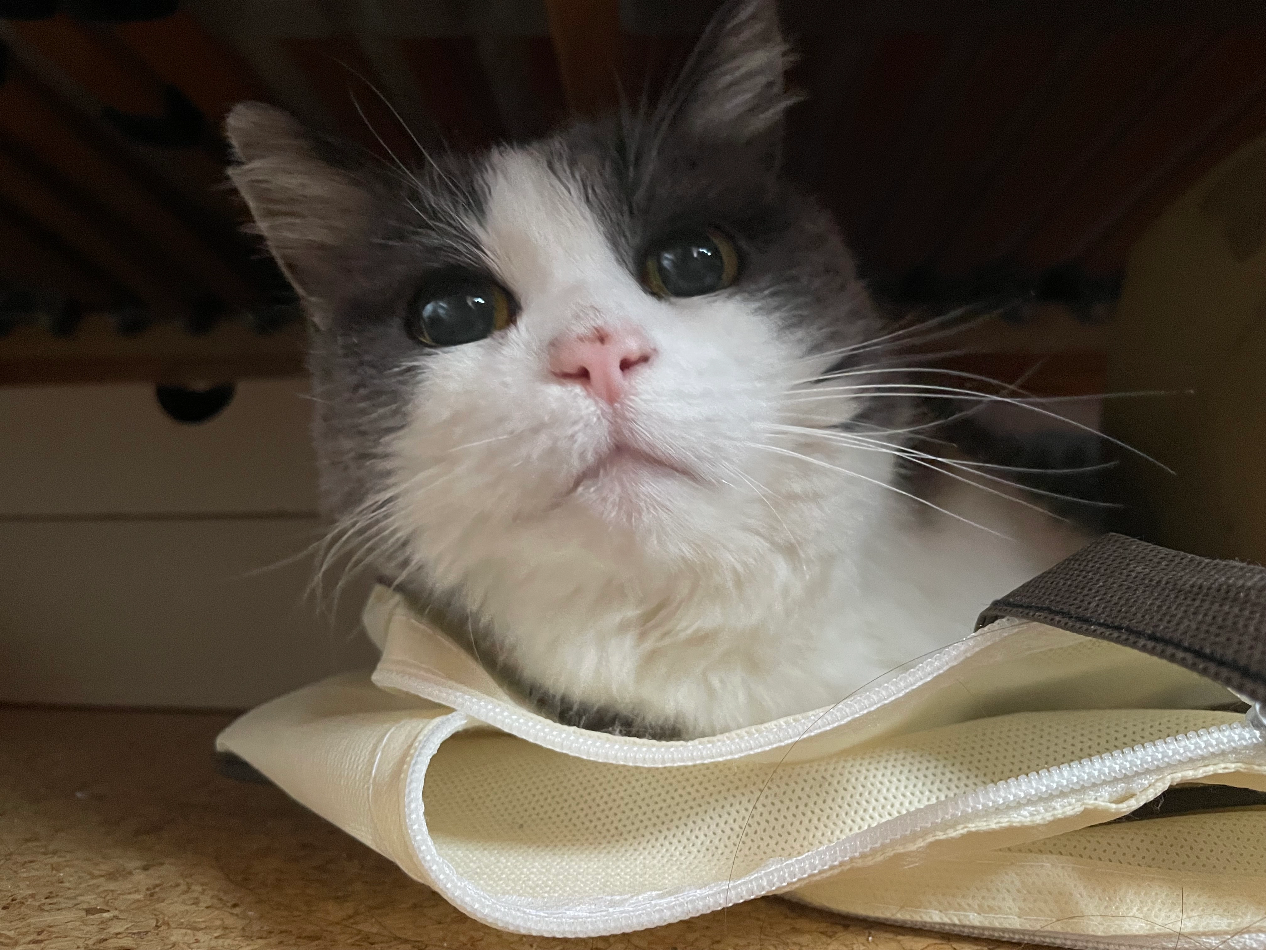 Cleo - Klosterhof, Pyrbaum