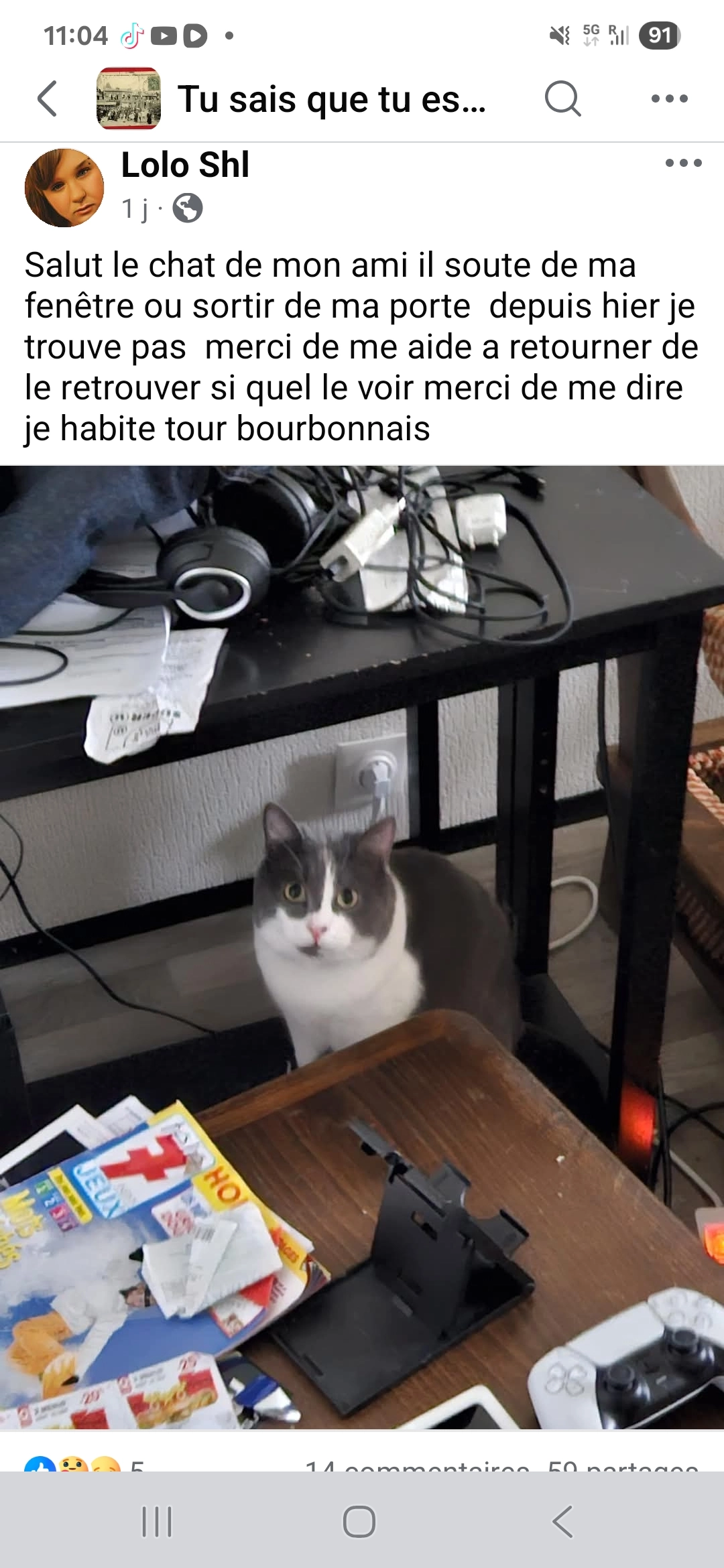 Tigrou - Rue Paul Painlevé, Maromme