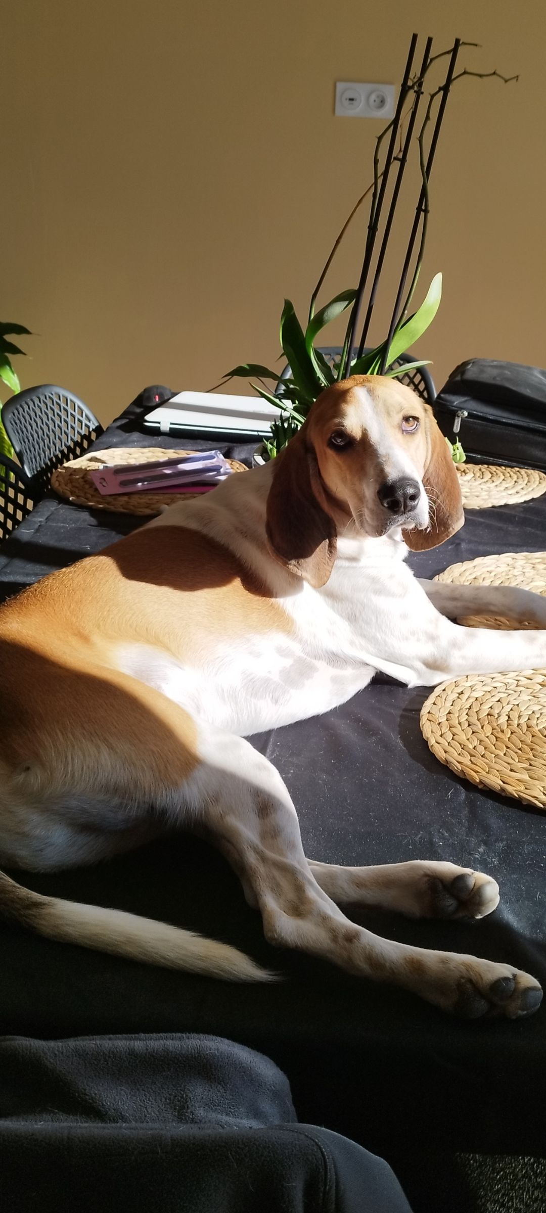 Uran - 477 Chemin de la Gardie, Vias