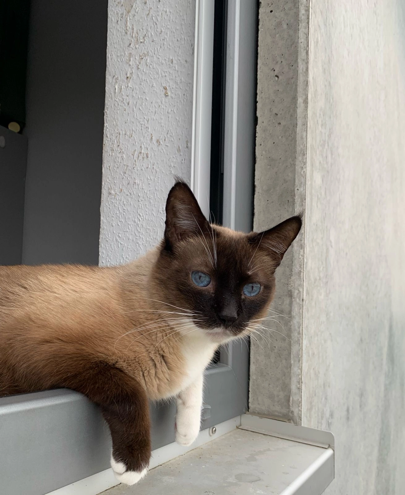 Bigotes - Hafenstraße, Wolfsburgo